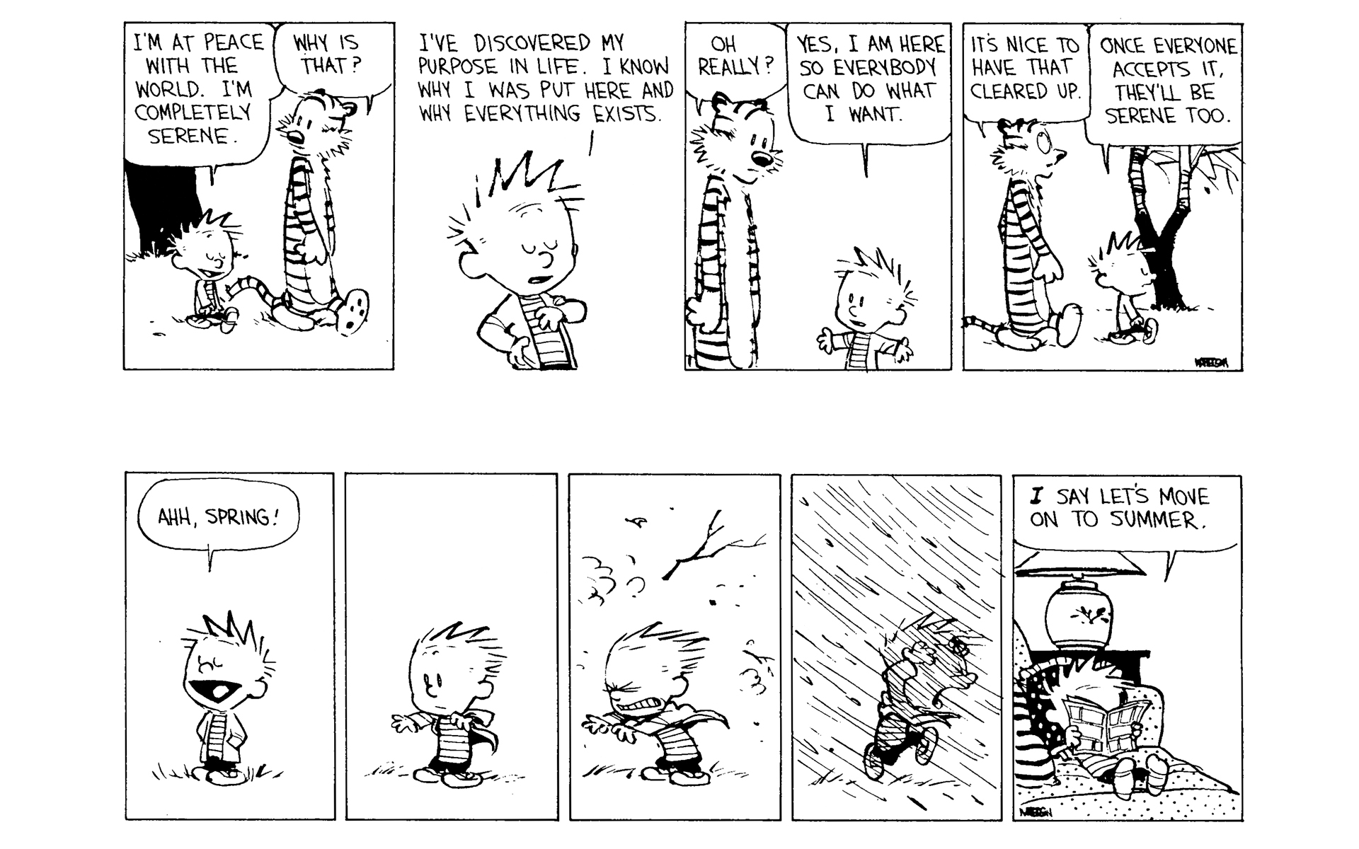 Read online Calvin and Hobbes comic -  Issue #9 - 95