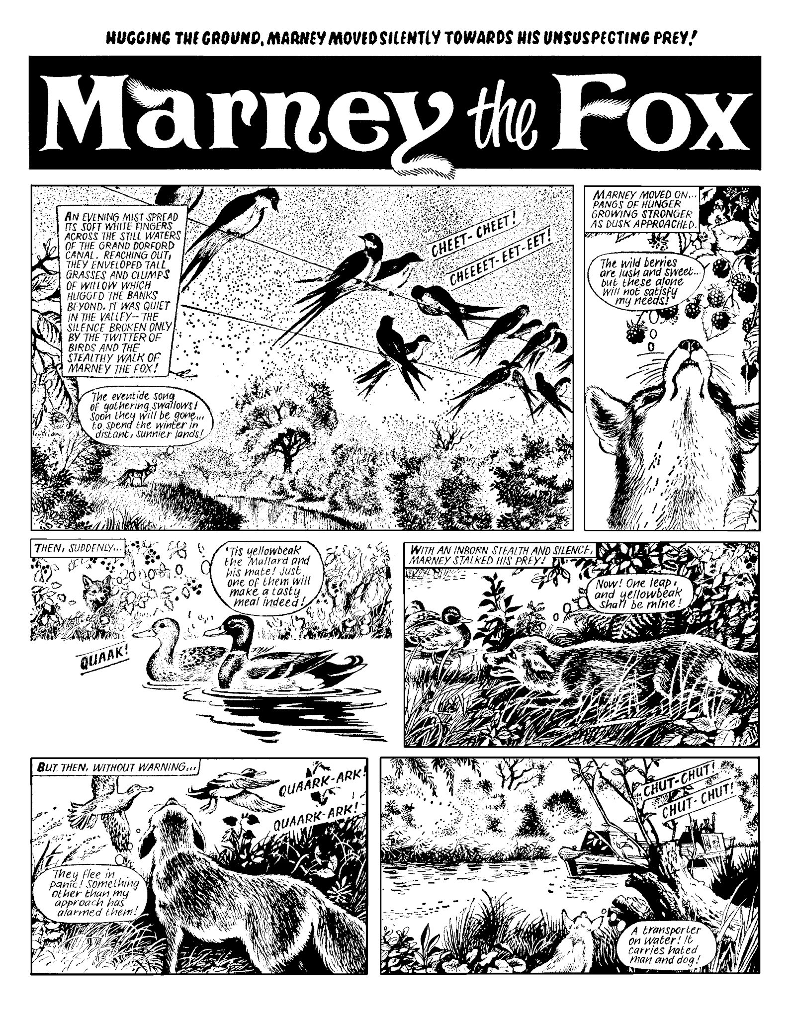Read online Marney the Fox comic -  Issue # TPB (Part 2) - 24