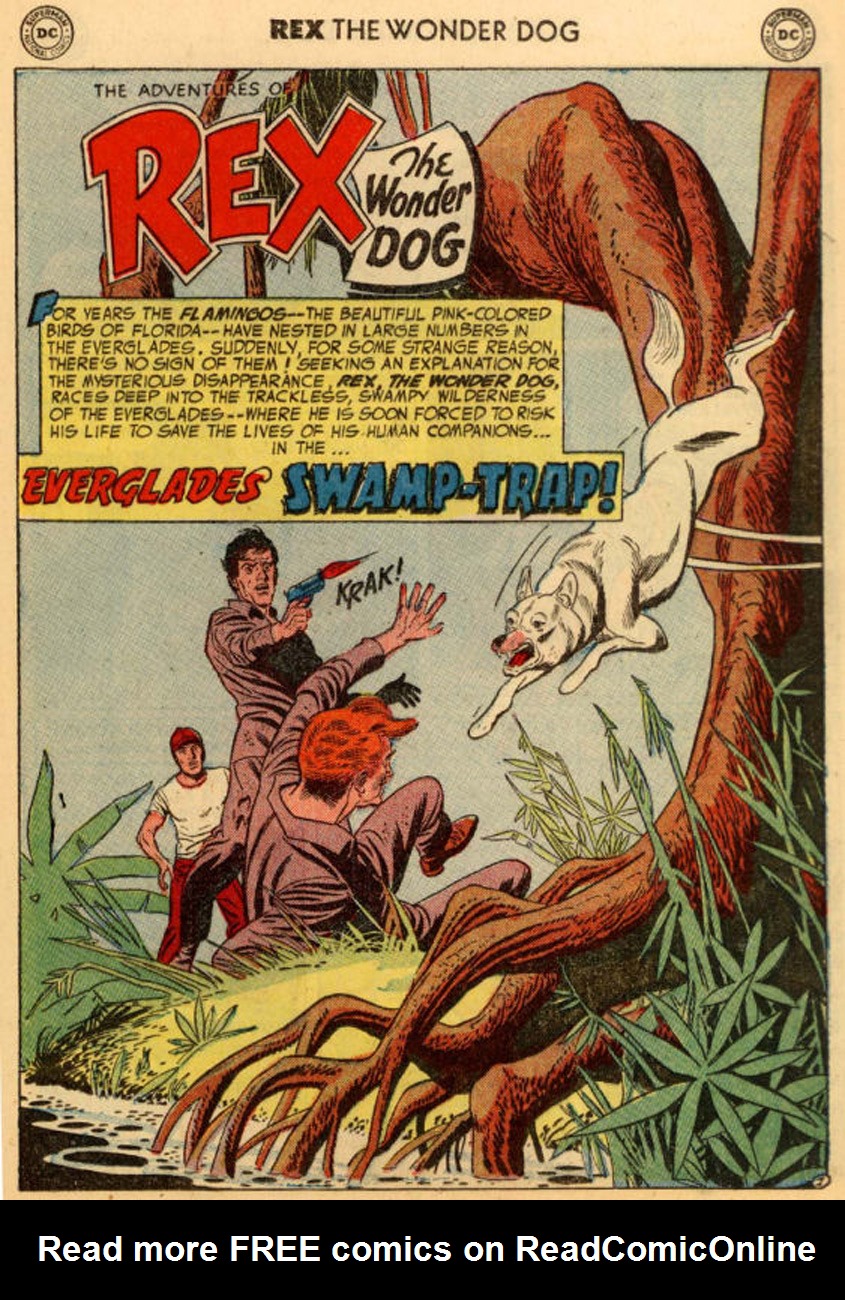 Read online The Adventures of Rex the Wonder Dog comic -  Issue #18 - 25