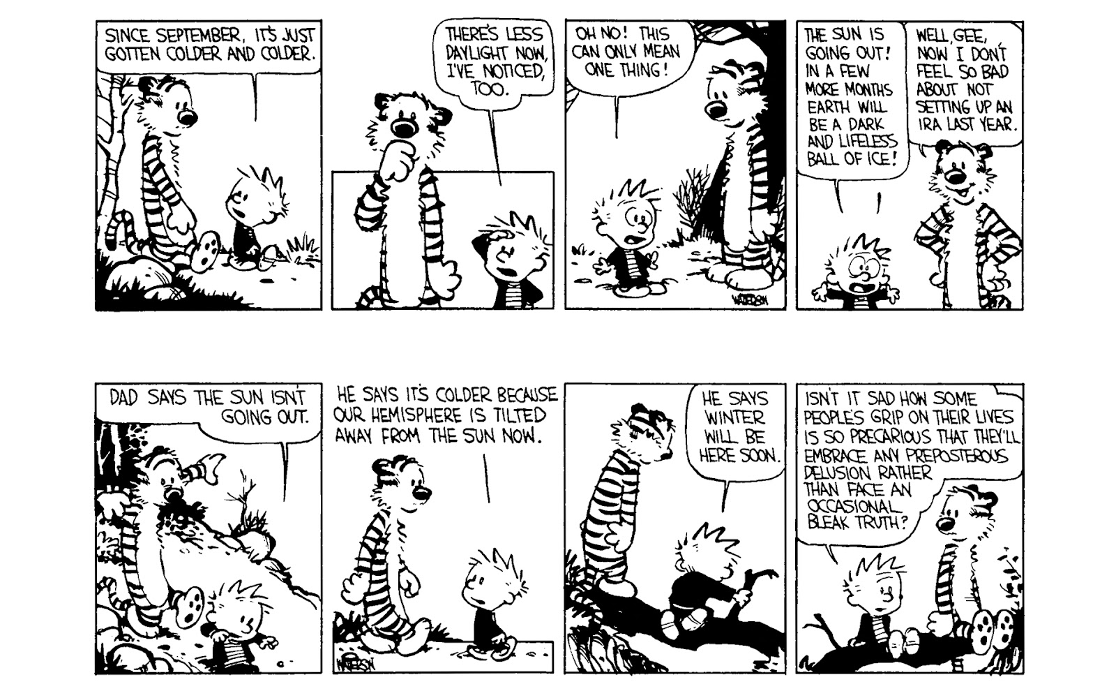 Calvin and Hobbes issue 3 - Page 111
