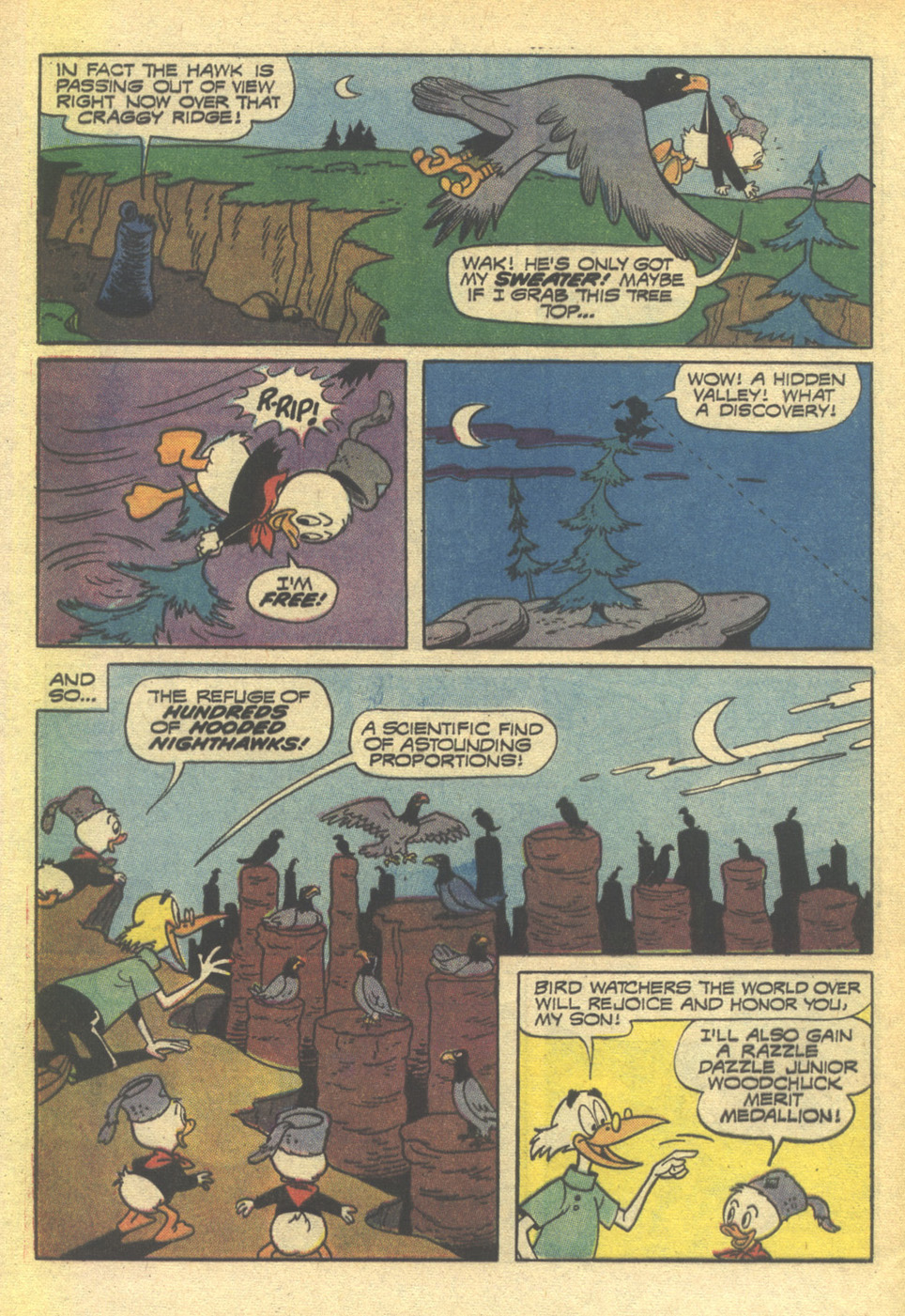 Read online Huey, Dewey, and Louie Junior Woodchucks comic -  Issue #14 - 32