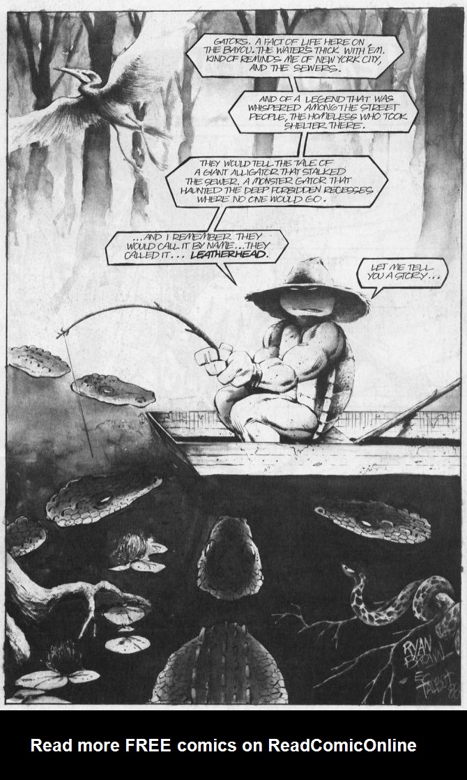 Tales of the Teenage Mutant Ninja Turtles issue 6 - Page 3