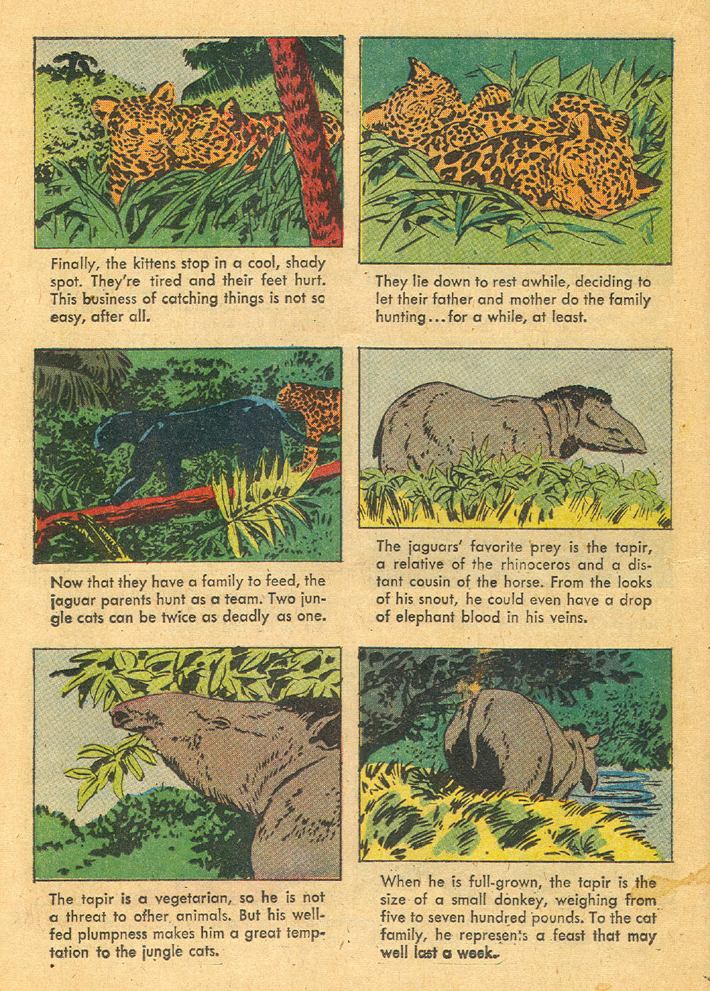 Read online Four Color Comics comic -  Issue #1136 - 20