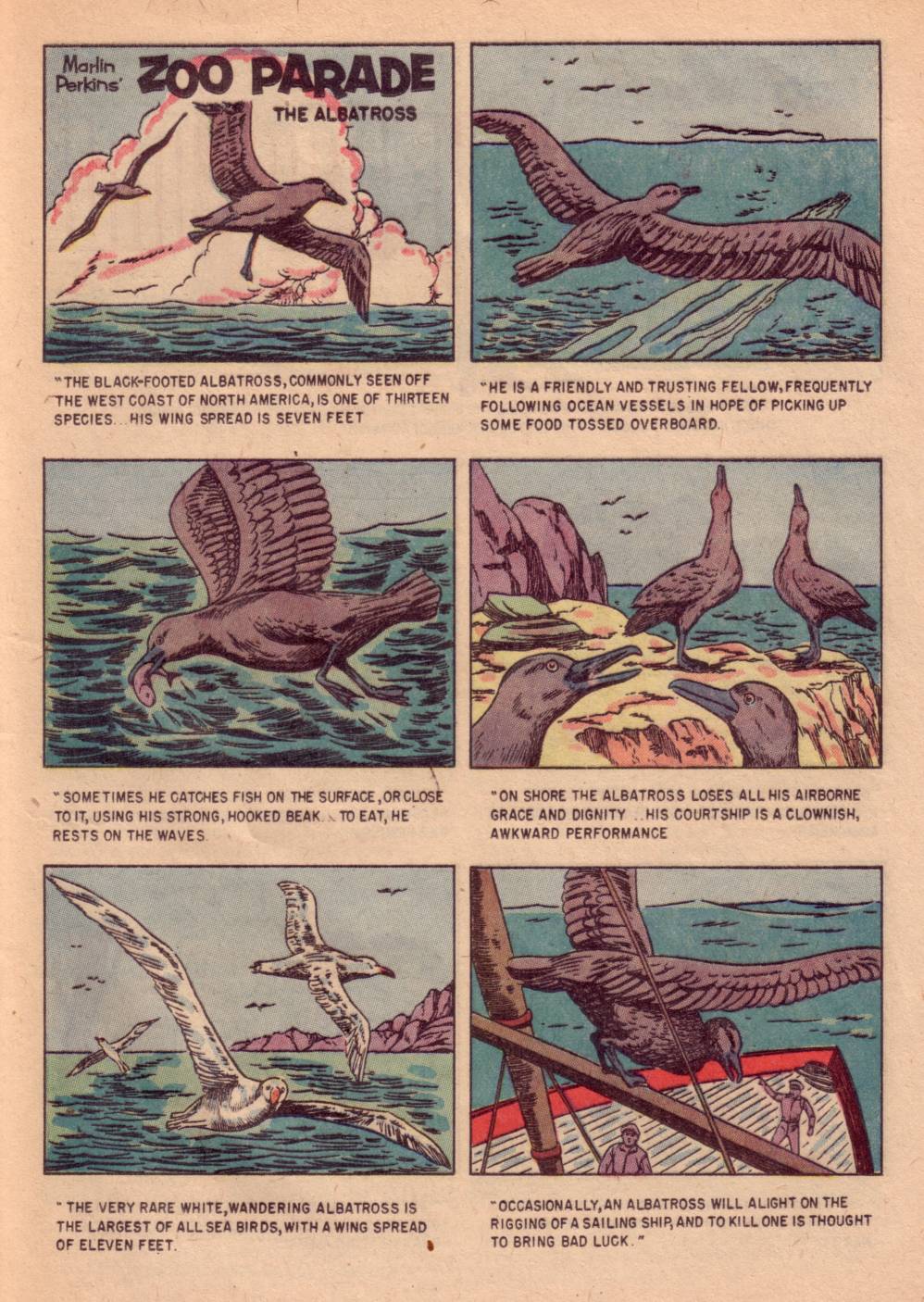 Read online Four Color Comics comic -  Issue #662 - 25