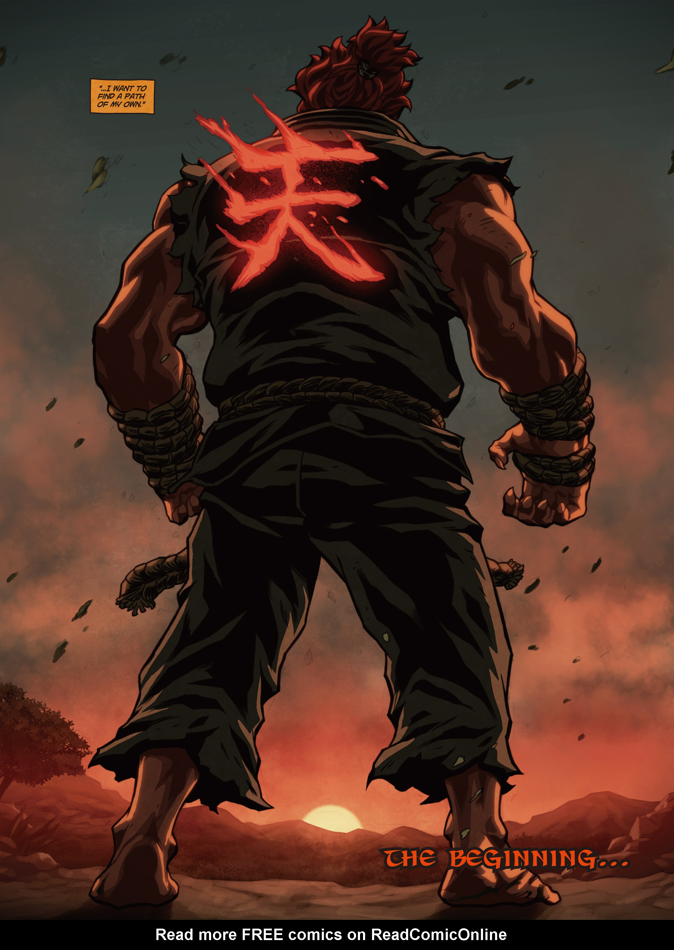 Read online Street Fighter Origins: Akuma comic -  Issue # Full - 99