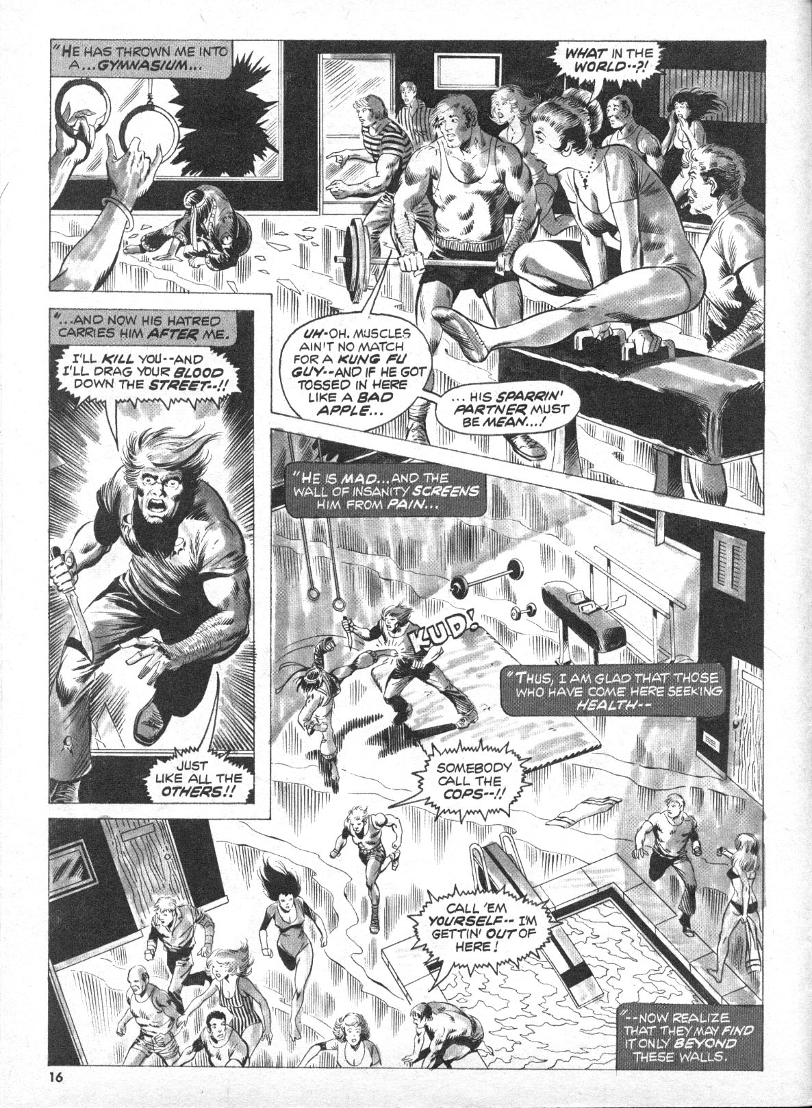 Read online The Deadly Hands of Kung Fu comic -  Issue #8 - 17