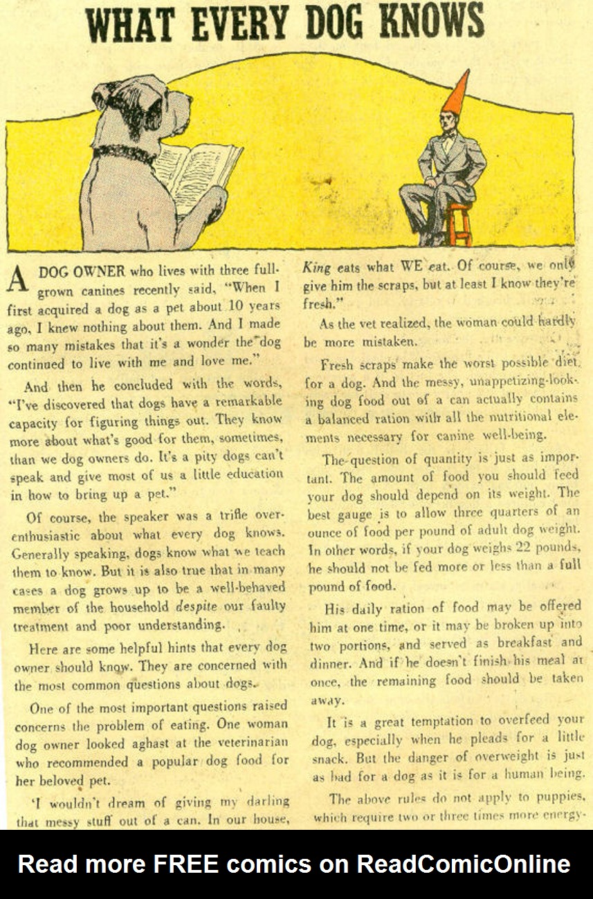 Read online The Adventures of Rex the Wonder Dog comic -  Issue #22 - 23