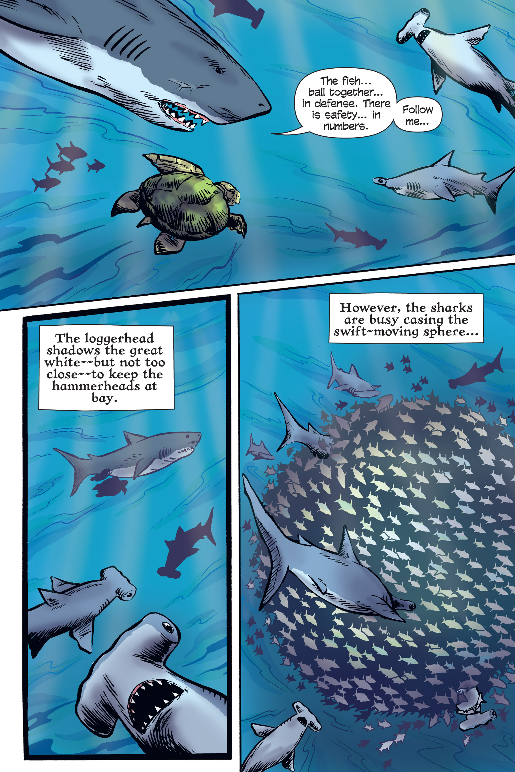 Read online Xoc: Journey of a Great White comic -  Issue # TPB - 86