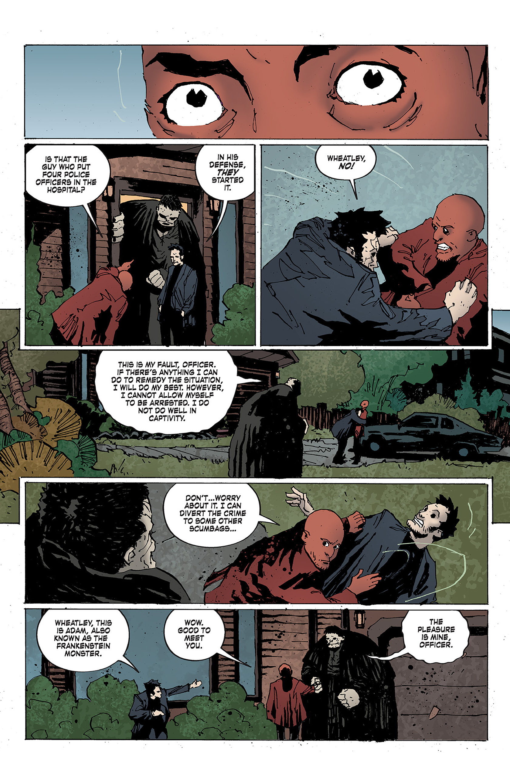 Read online Criminal Macabre: The Eyes of Frankenstein comic -  Issue #2 - 13