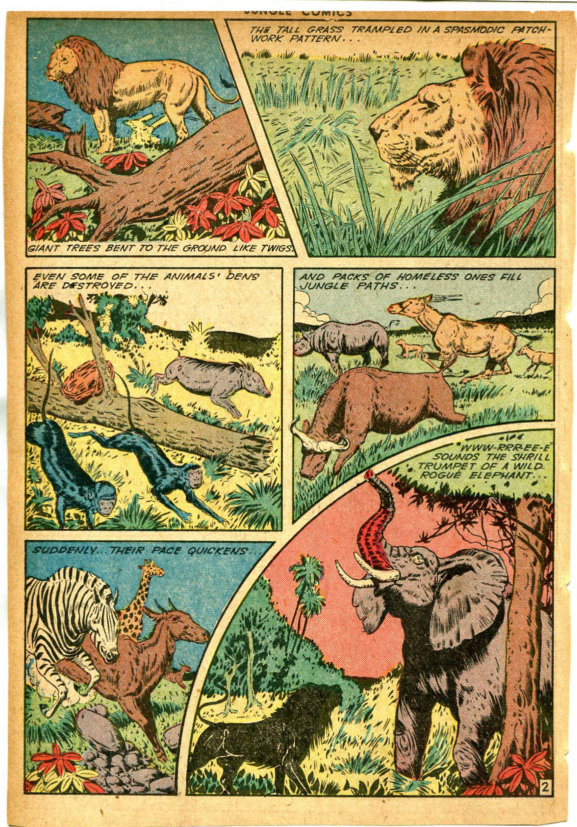 Read online Jungle Comics comic -  Issue #58 - 32
