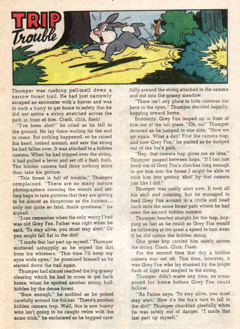 Walt Disney's Comics and Stories issue 252 - Page 25
