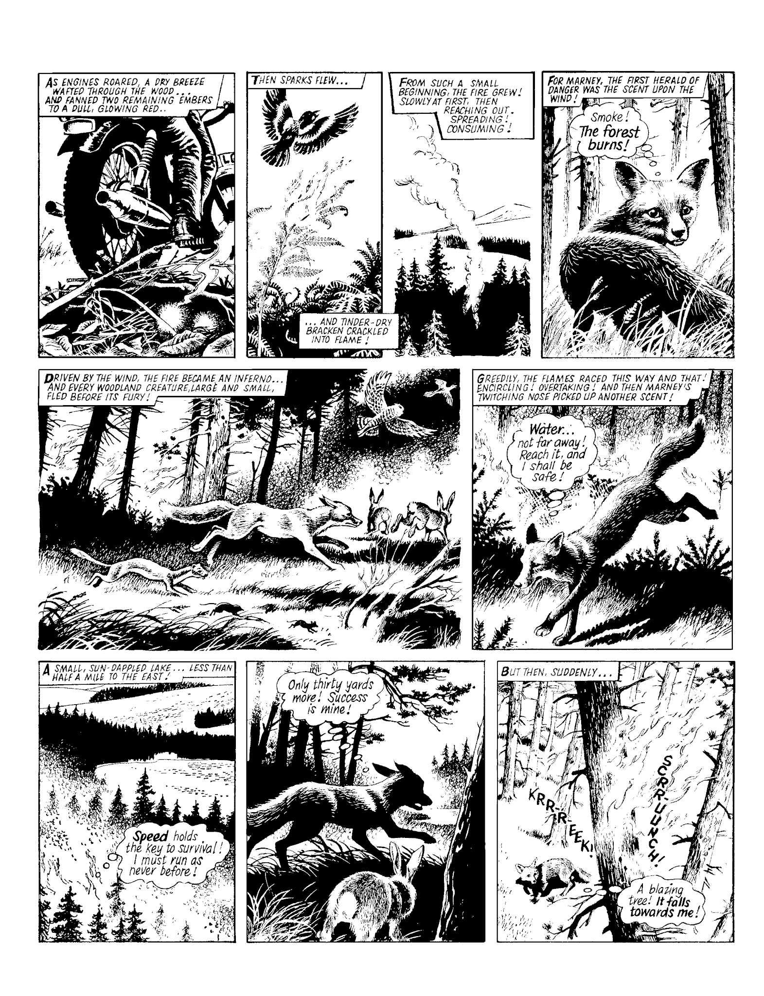 Read online Marney the Fox comic -  Issue # TPB (Part 2) - 9