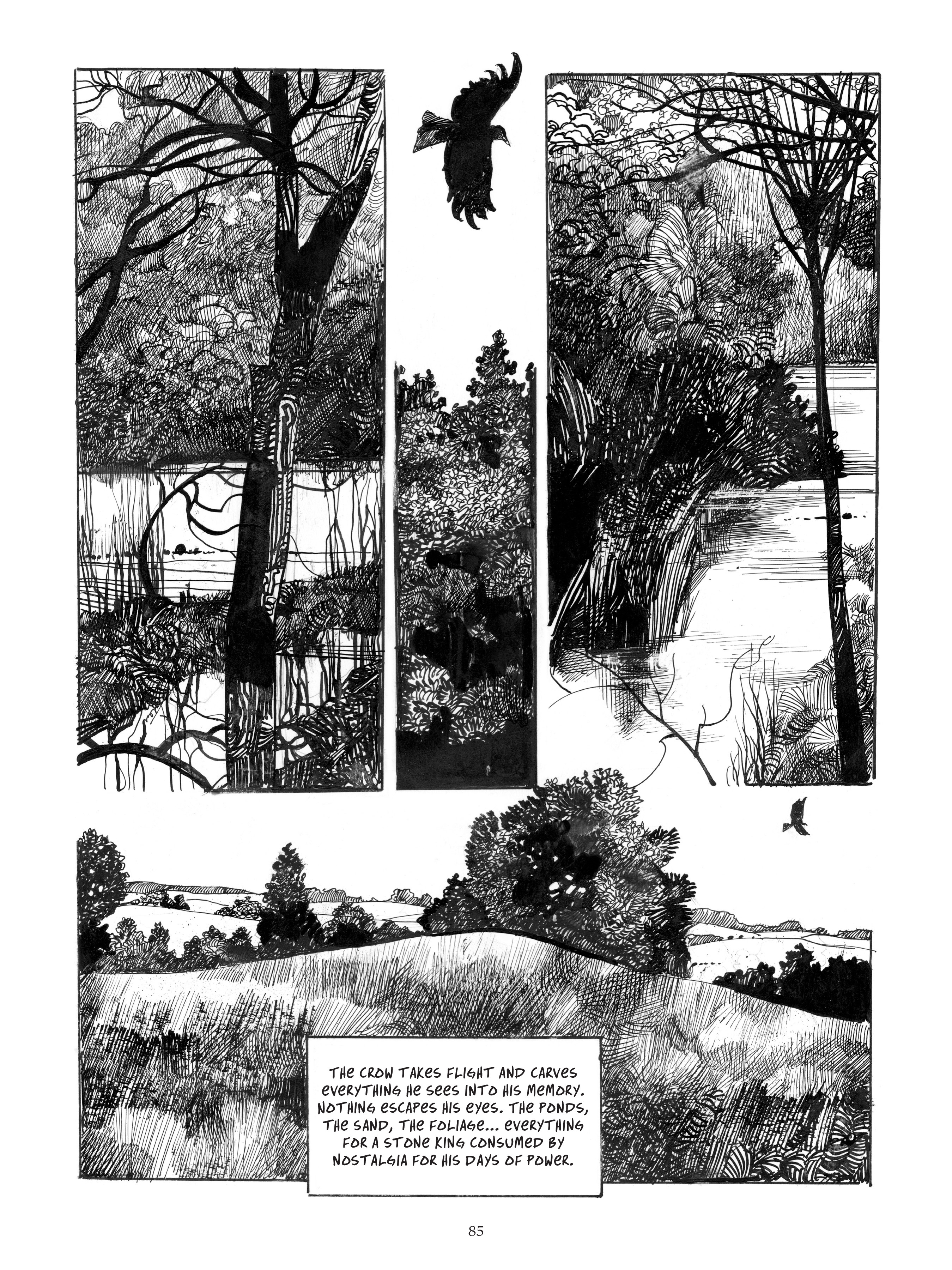 Read online The Collected Toppi comic -  Issue # TPB 1 (Part 1) - 83
