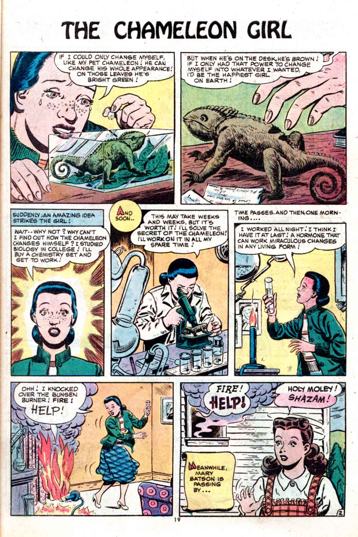 Read online Shazam! (1973) comic -  Issue #15 - 19