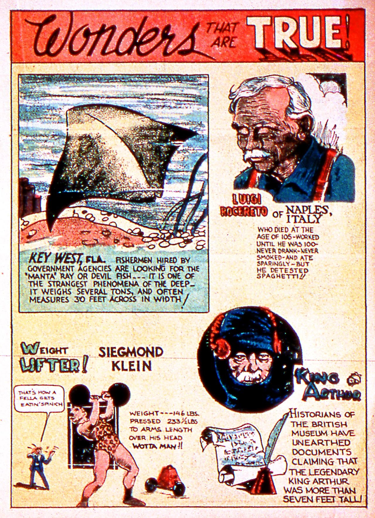 Read online Wonder Comics comic -  Issue #2 - 25