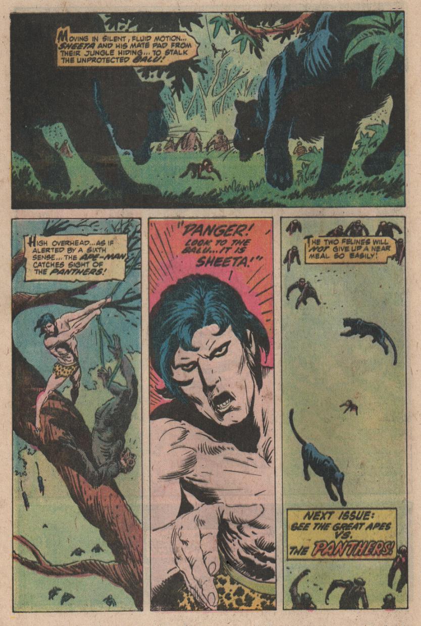 Read online Tarzan (1972) comic -  Issue #252 - 18