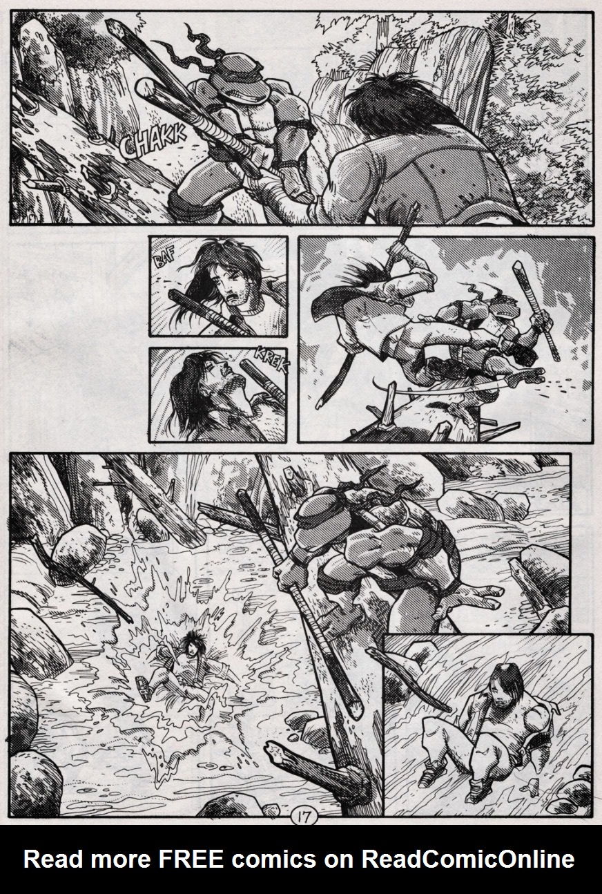 Teenage Mutant Ninja Turtles (1984) Issue #49 #49 - English 17