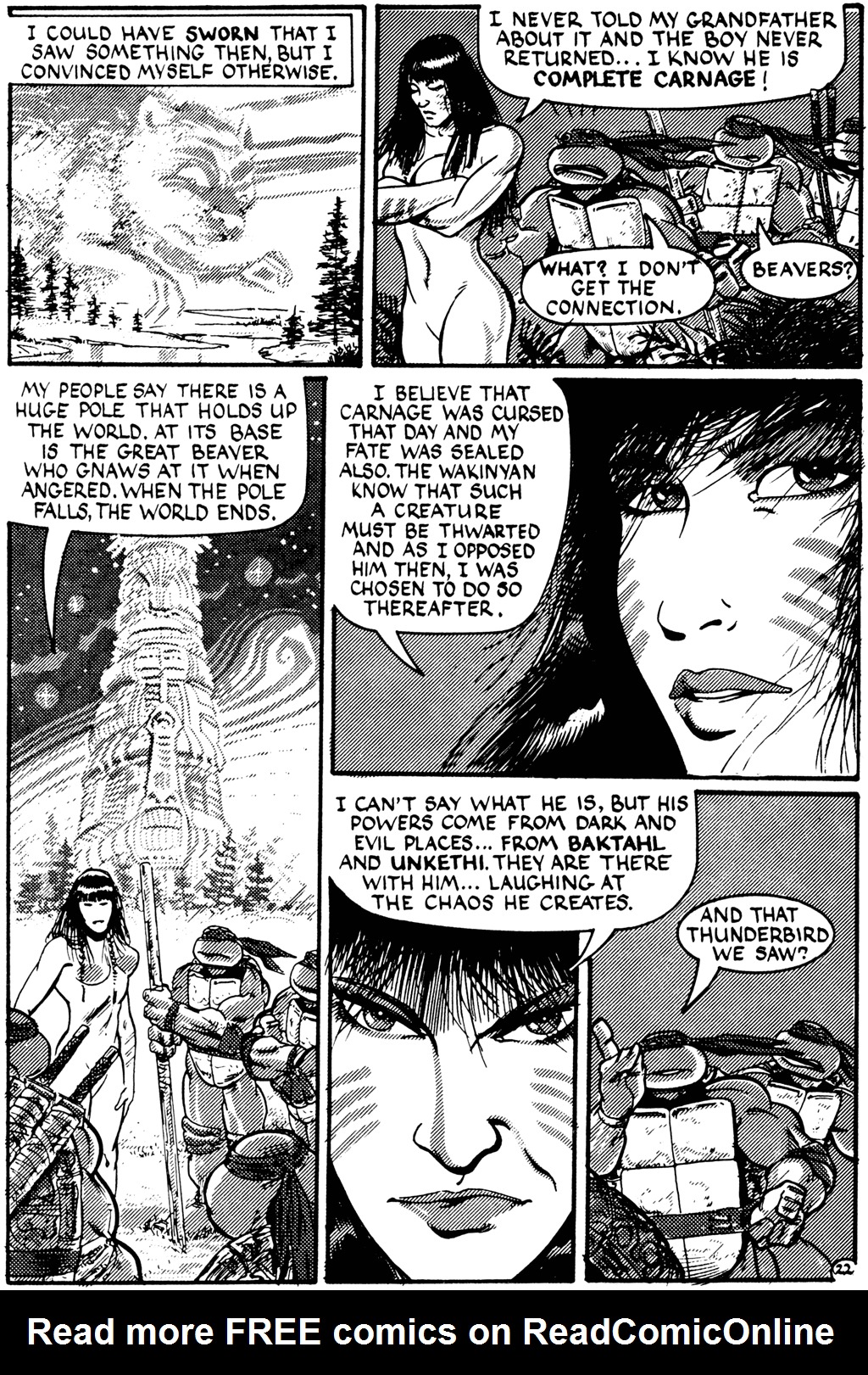 Read online Teenage Mutant Ninja Turtles (1984) comic -  Issue #27 - 22