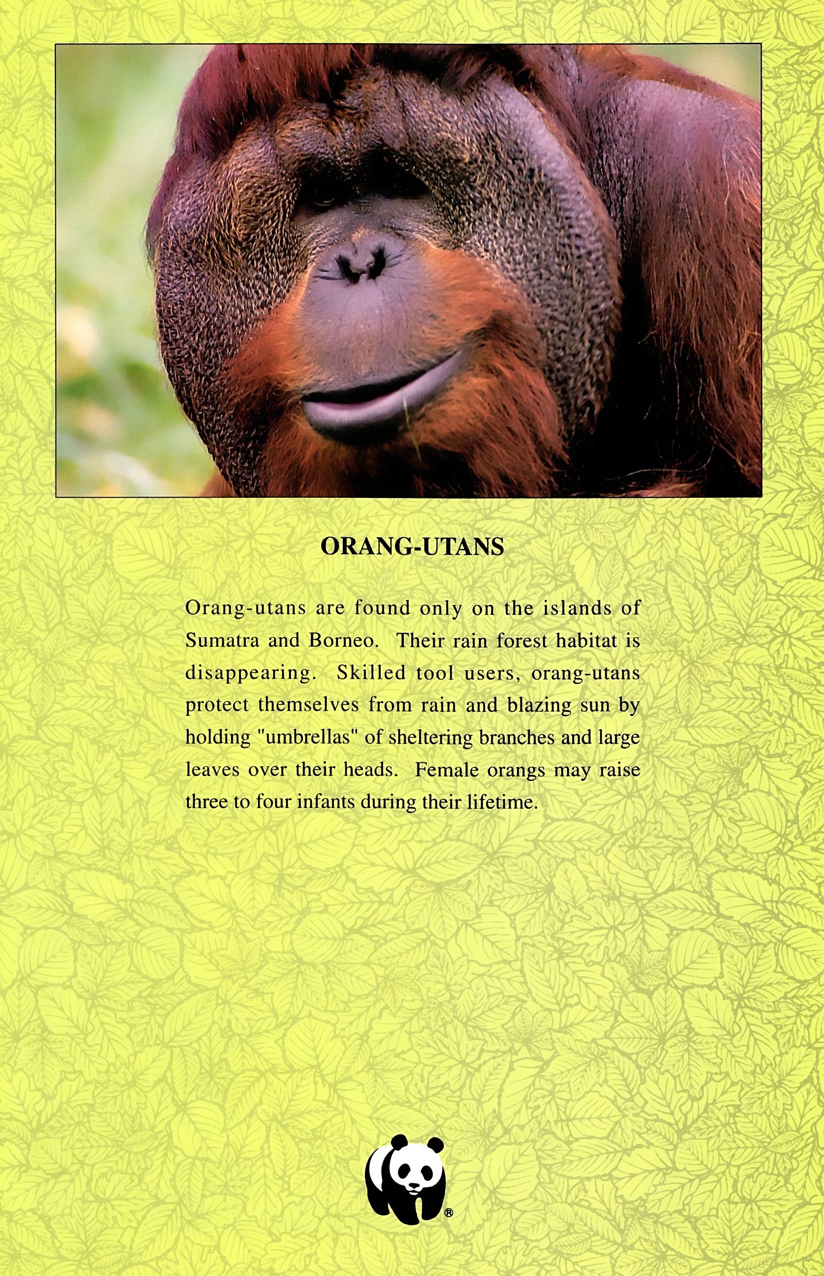 Read online Wolverine: Global Jeopardy comic -  Issue # Full - 7