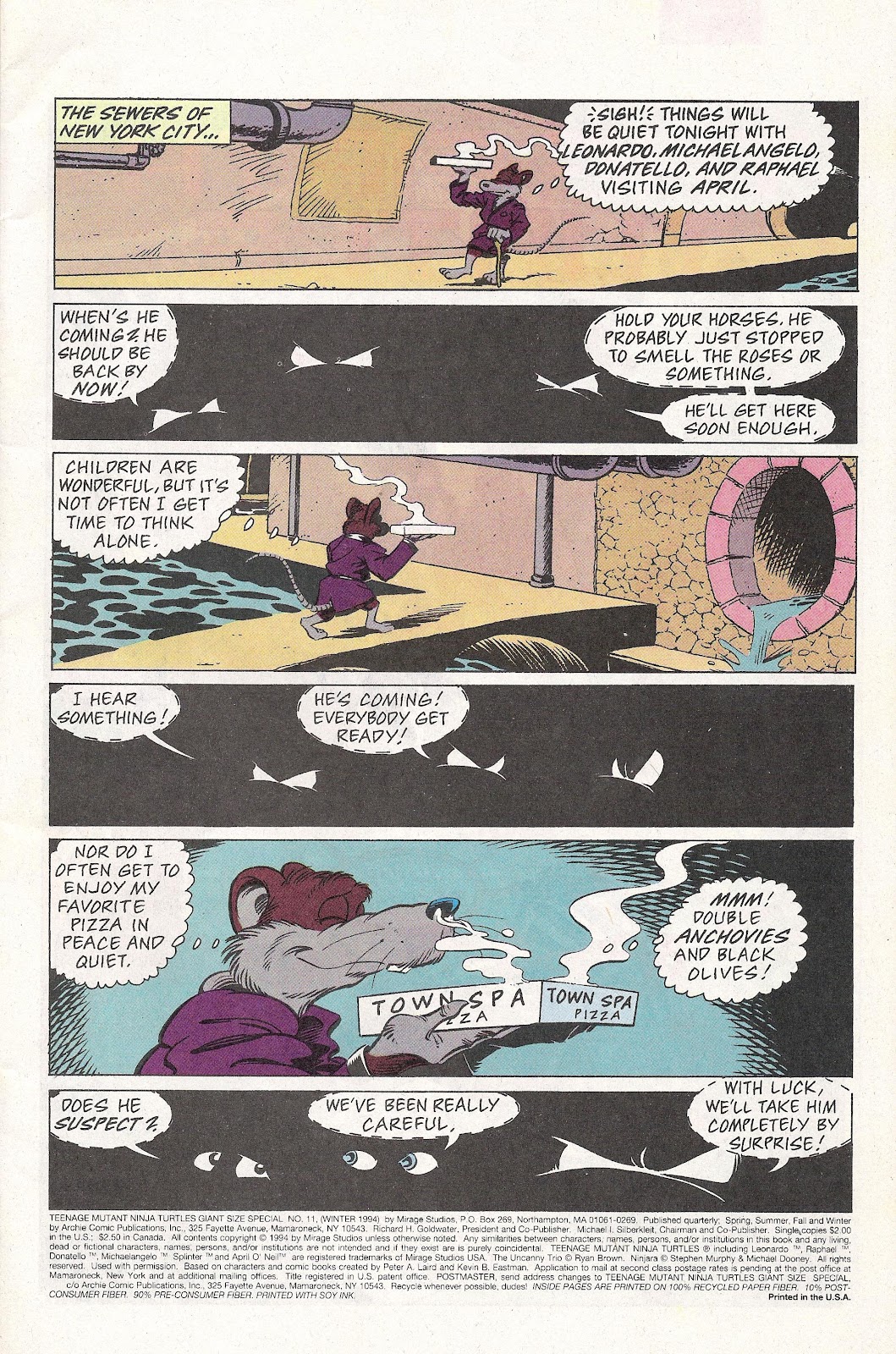 Teenage Mutant Ninja Turtles Adventures (1989) issue Special 11 - Page 2