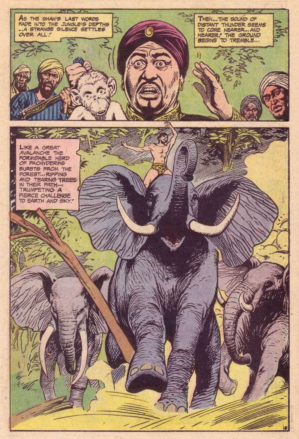 Read online Tarzan (1972) comic -  Issue #244 - 15