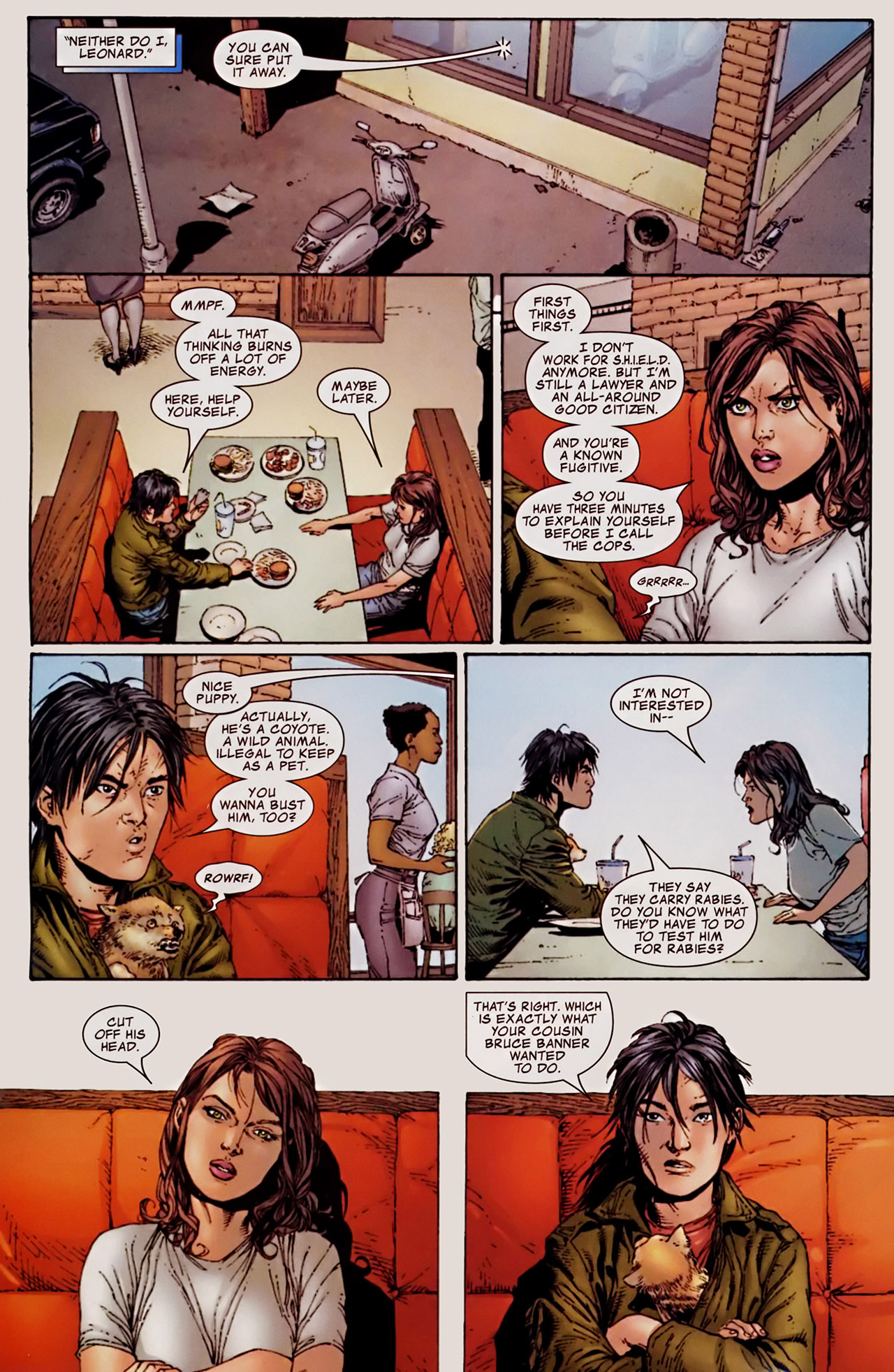 Read online The Incredible Hulk (2000) comic -  Issue #106 - 9