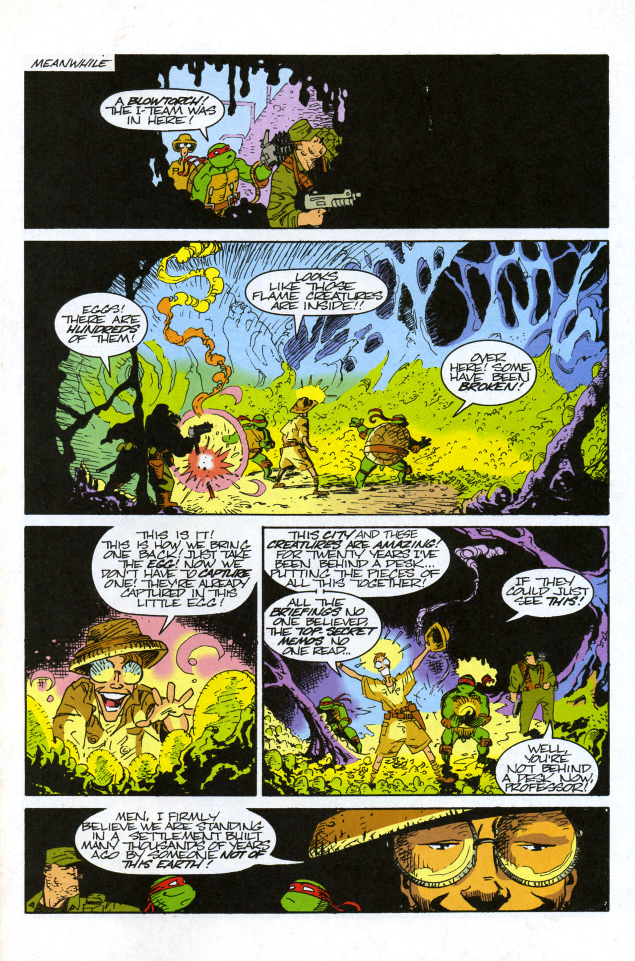 Read online Teenage Mutant Ninja Turtles/Flaming Carrot Crossover comic -  Issue #3 - 25