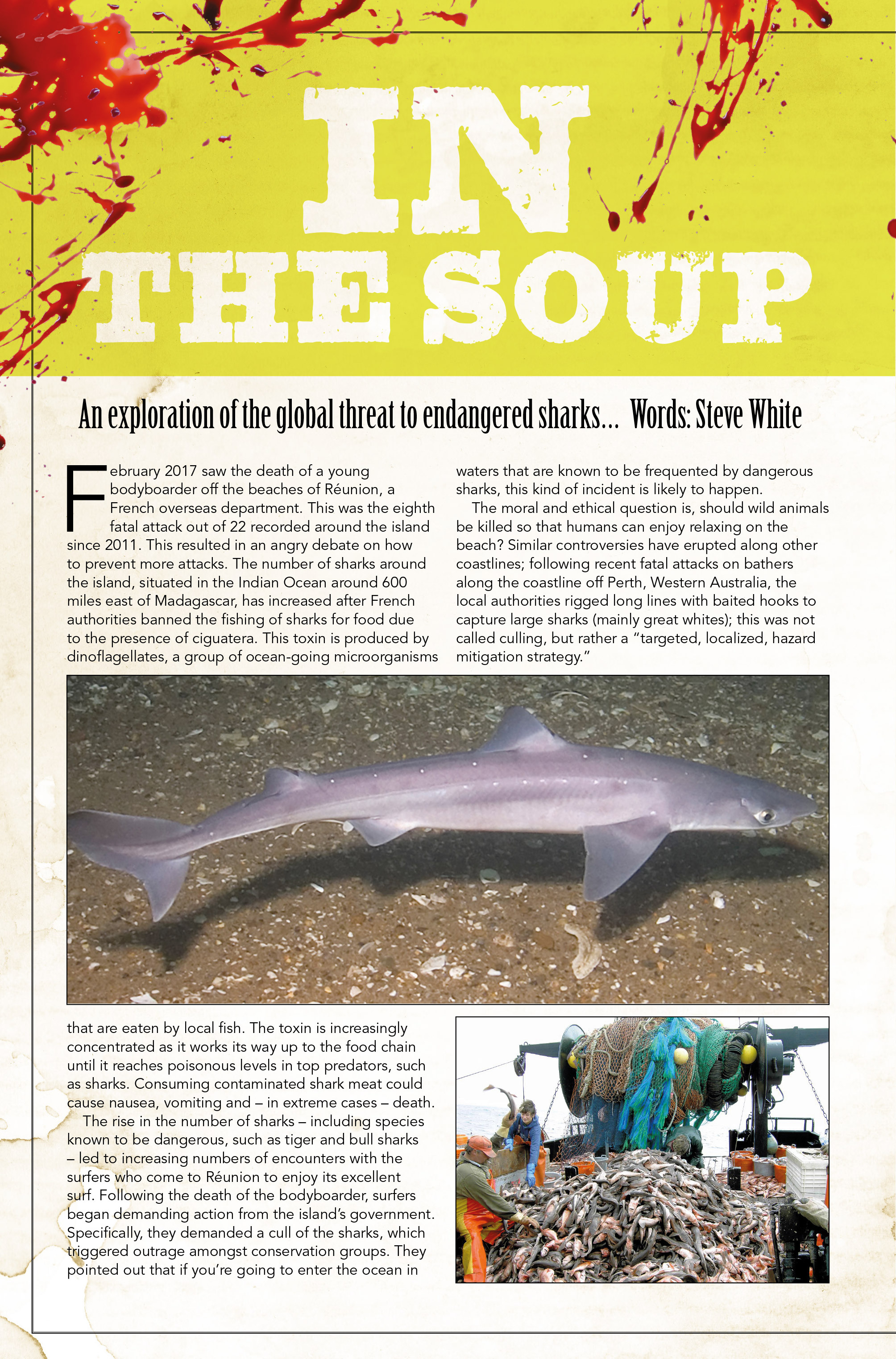 Read online Hook Jaw comic -  Issue #5 - 25