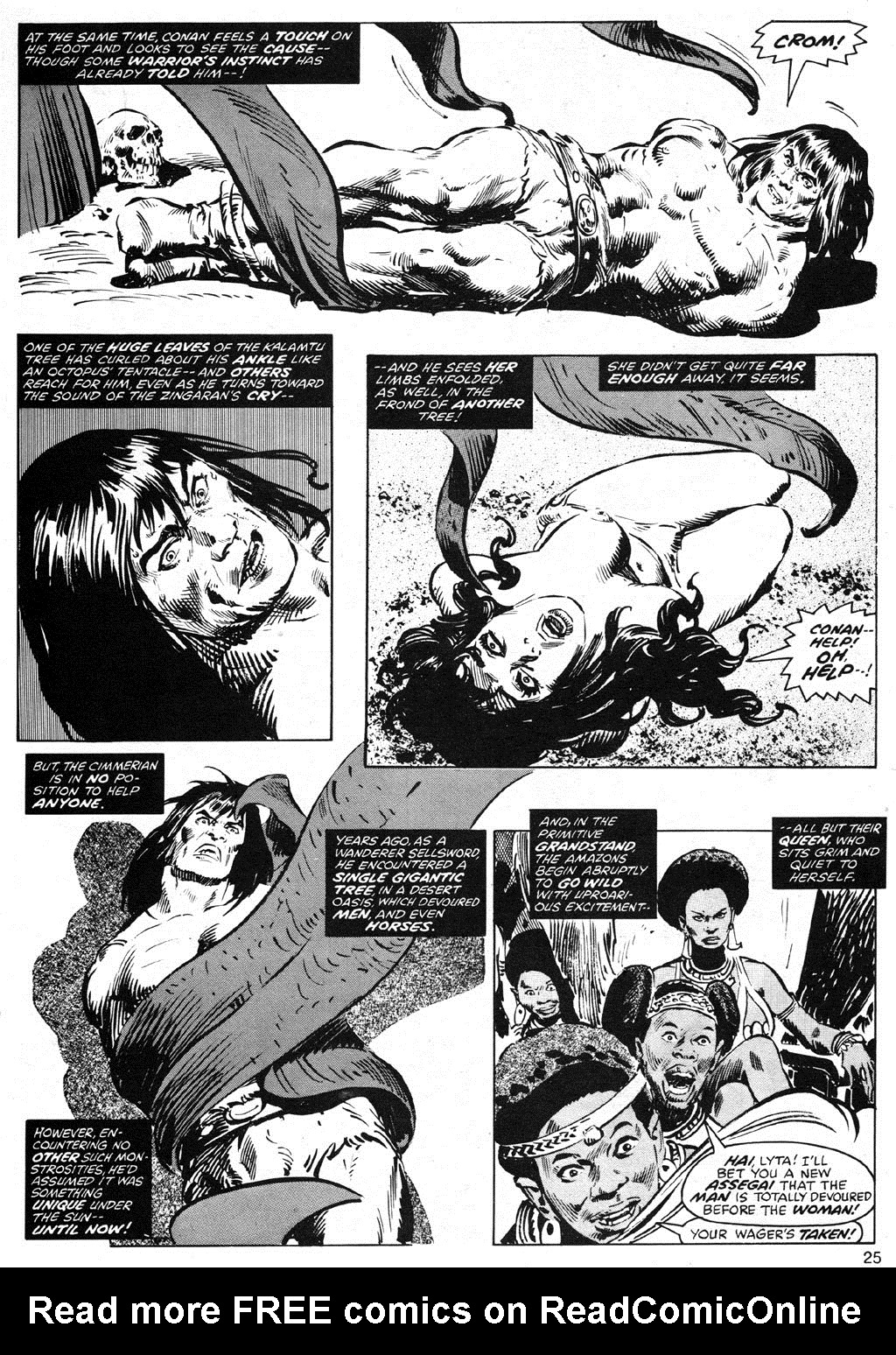 The Savage Sword Of Conan issue 42 - Page 25