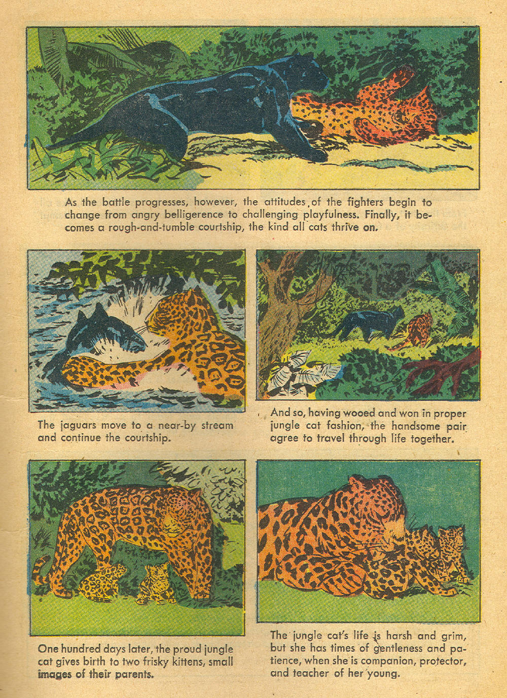 Read online Four Color Comics comic -  Issue #1136 - 13