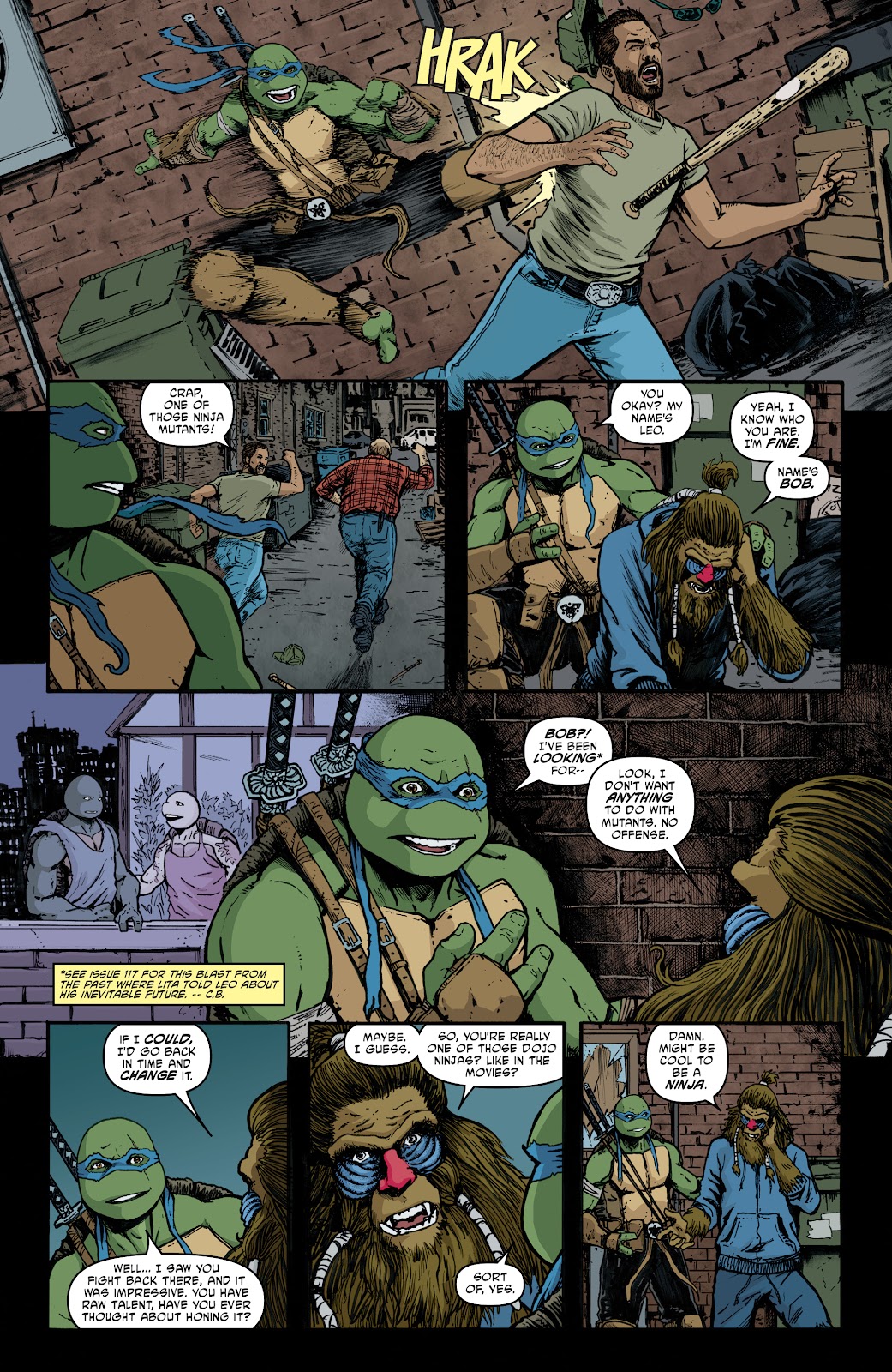 Teenage Mutant Ninja Turtles (2011) issue 140 - Page 16