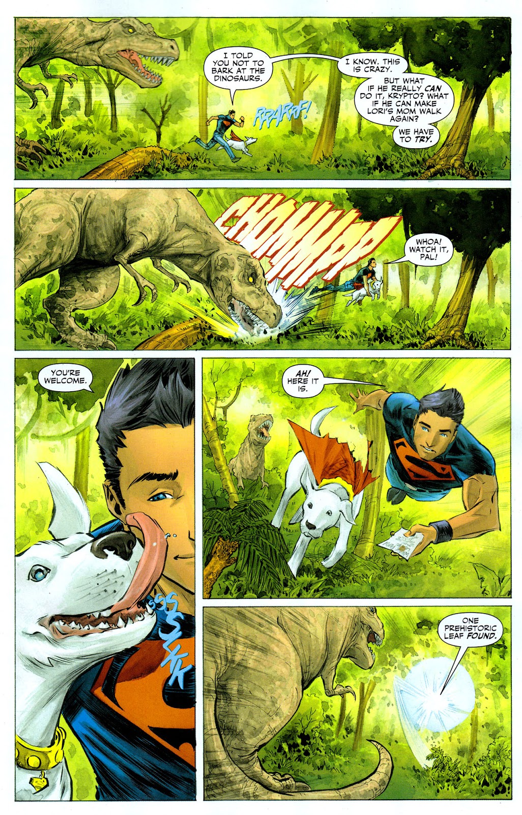 Adventure Comics (2009) issue 6 - Page 8