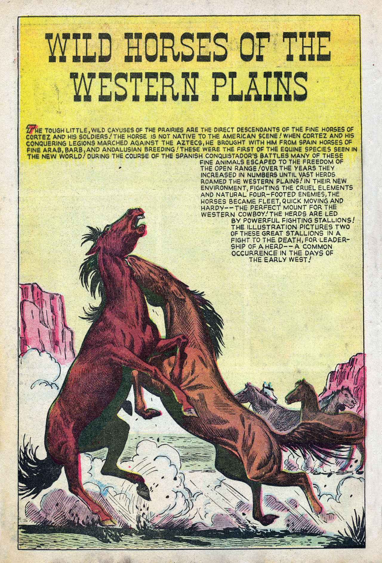 Read online All Western Winners comic -  Issue #4 - 24