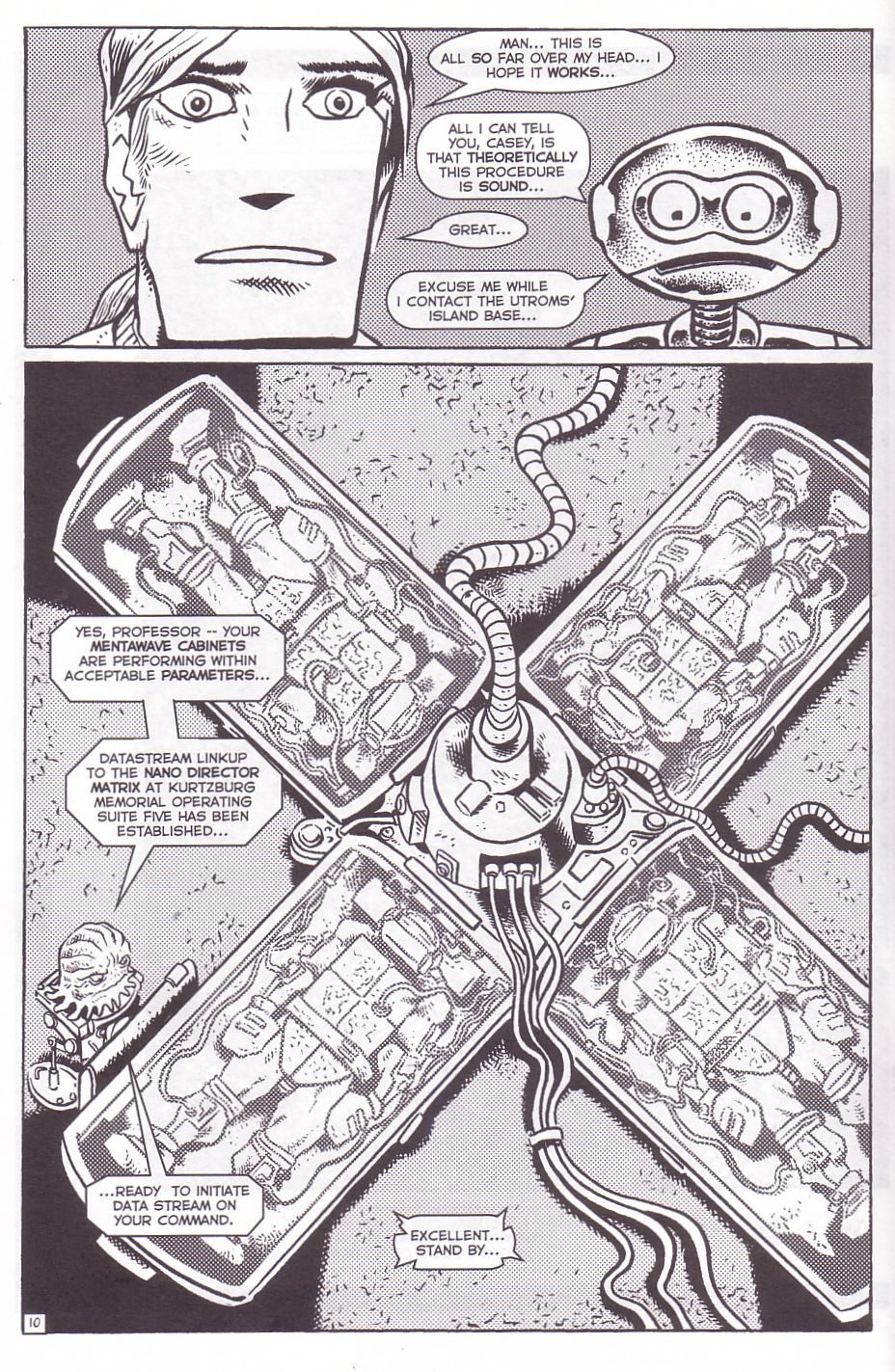 Read online TMNT: Teenage Mutant Ninja Turtles comic -  Issue #10 - 12