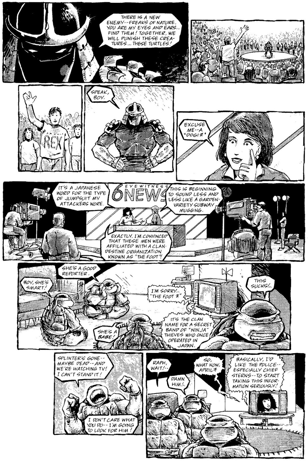 Teenage Mutant Ninja Turtles: The Movie issue Full - Page 34