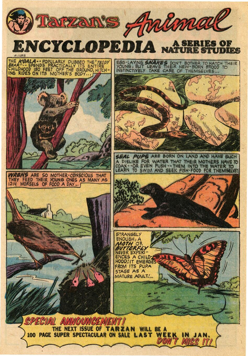 Read online Tarzan (1972) comic -  Issue #229 - 33