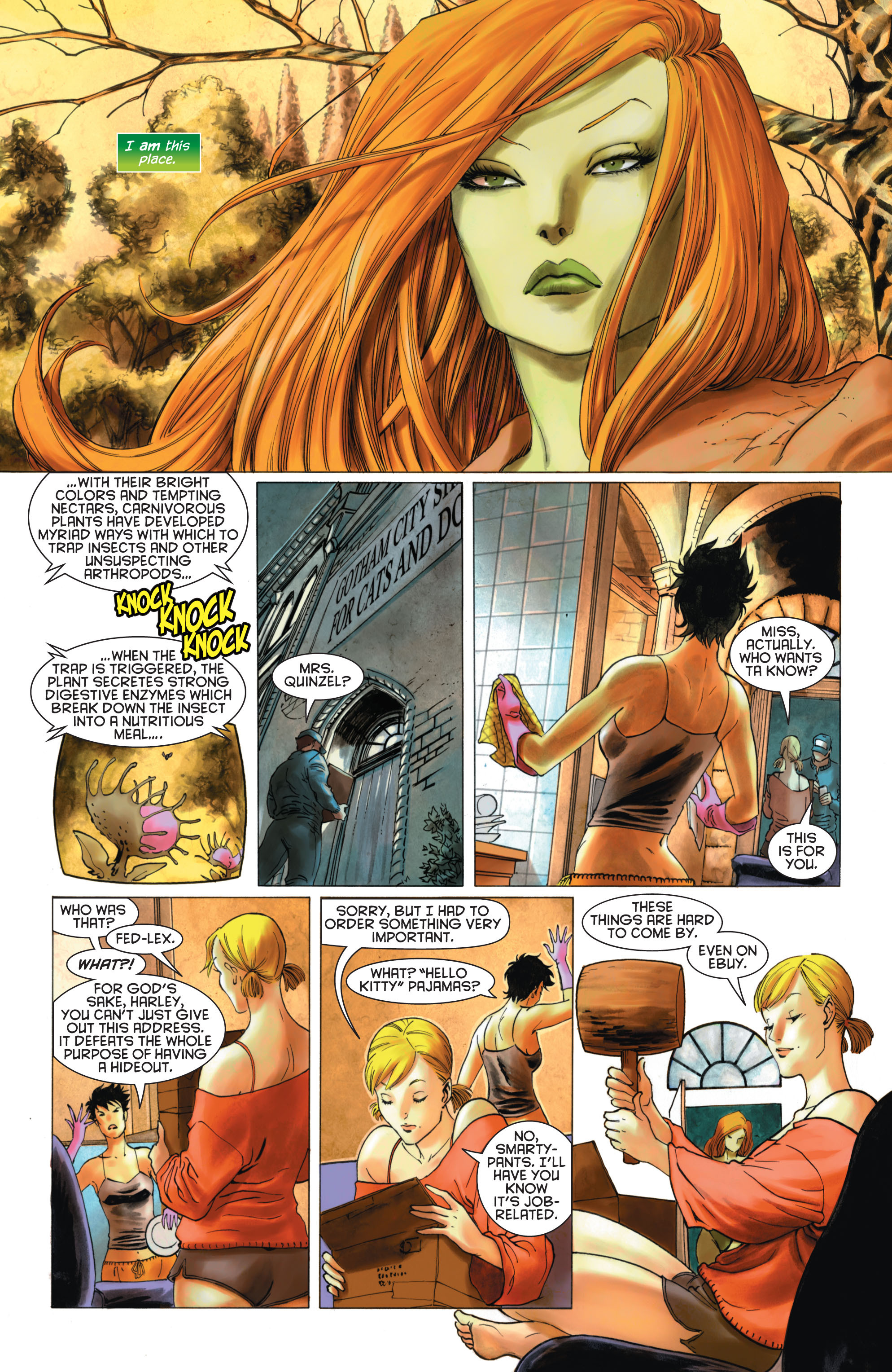 Read online Gotham City Sirens comic -  Issue #8 - 4