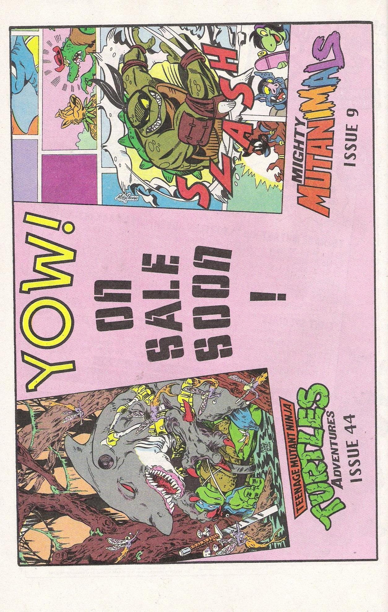 Read online Teenage Mutant Ninja Turtles Adventures (1989) comic -  Issue # _Special 4 - 32