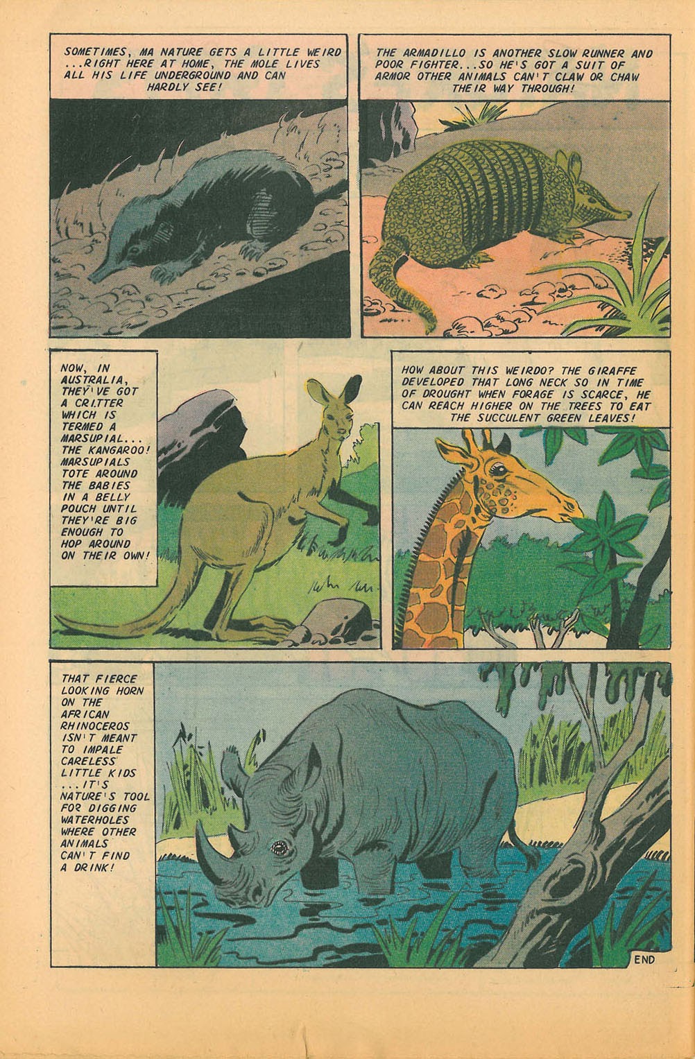 Read online Popeye (1948) comic -  Issue #105 - 32