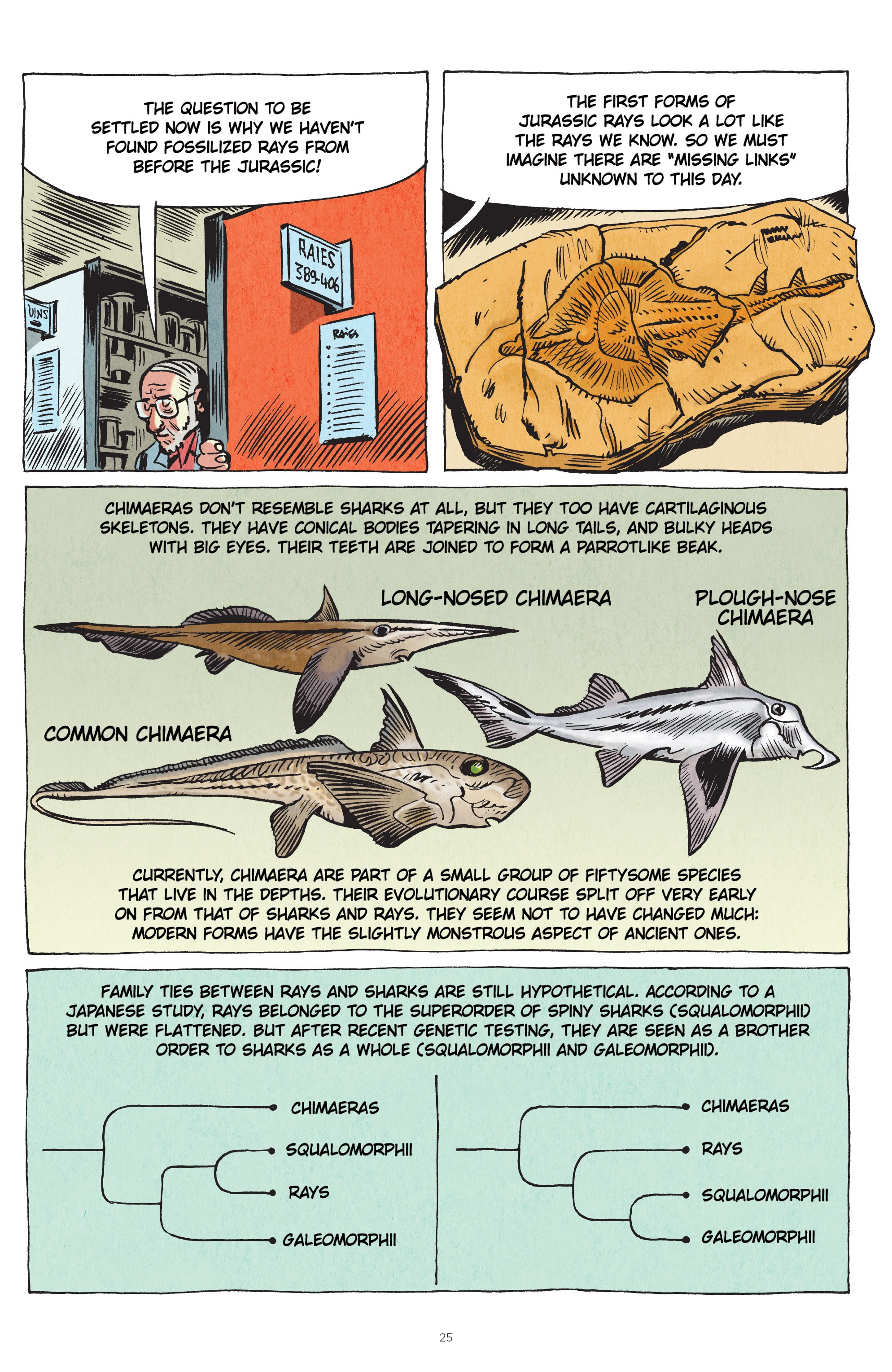 Read online Little Book of Knowledge: Sharks comic -  Issue # TPB - 25