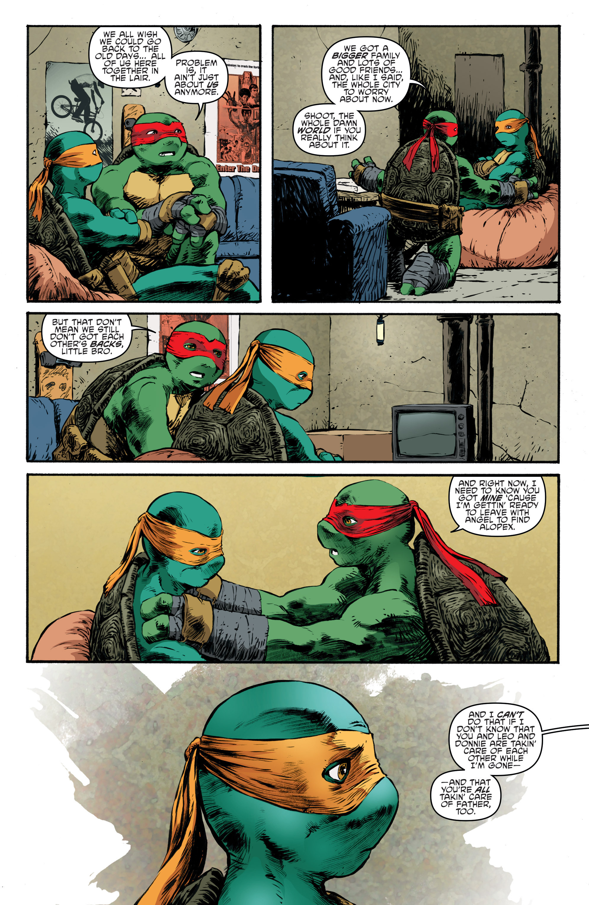 Read online Teenage Mutant Ninja Turtles (2011) comic -  Issue #62 - 11