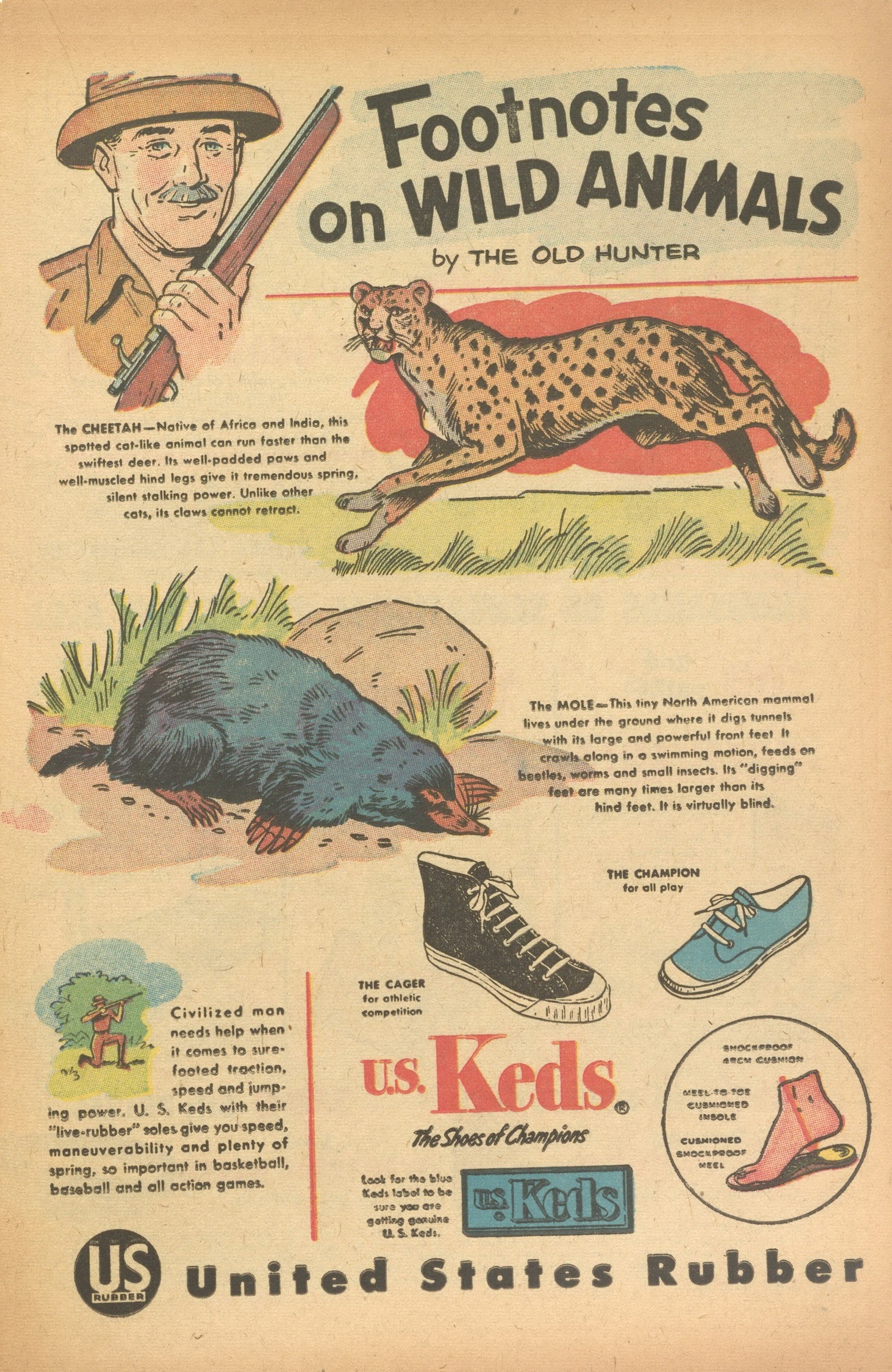 Read online Felix the Cat (1955) comic -  Issue #73 - 17