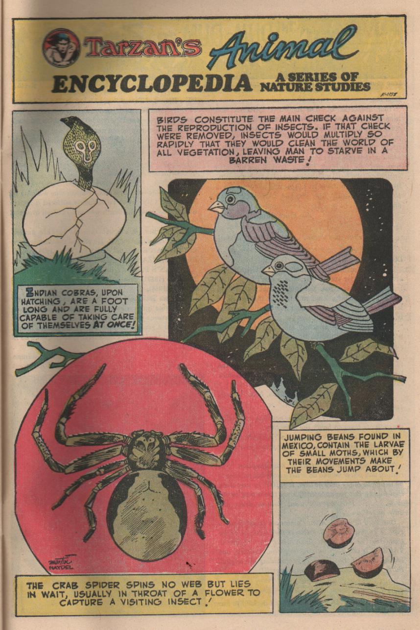 Read online Tarzan (1972) comic -  Issue #226 - 21