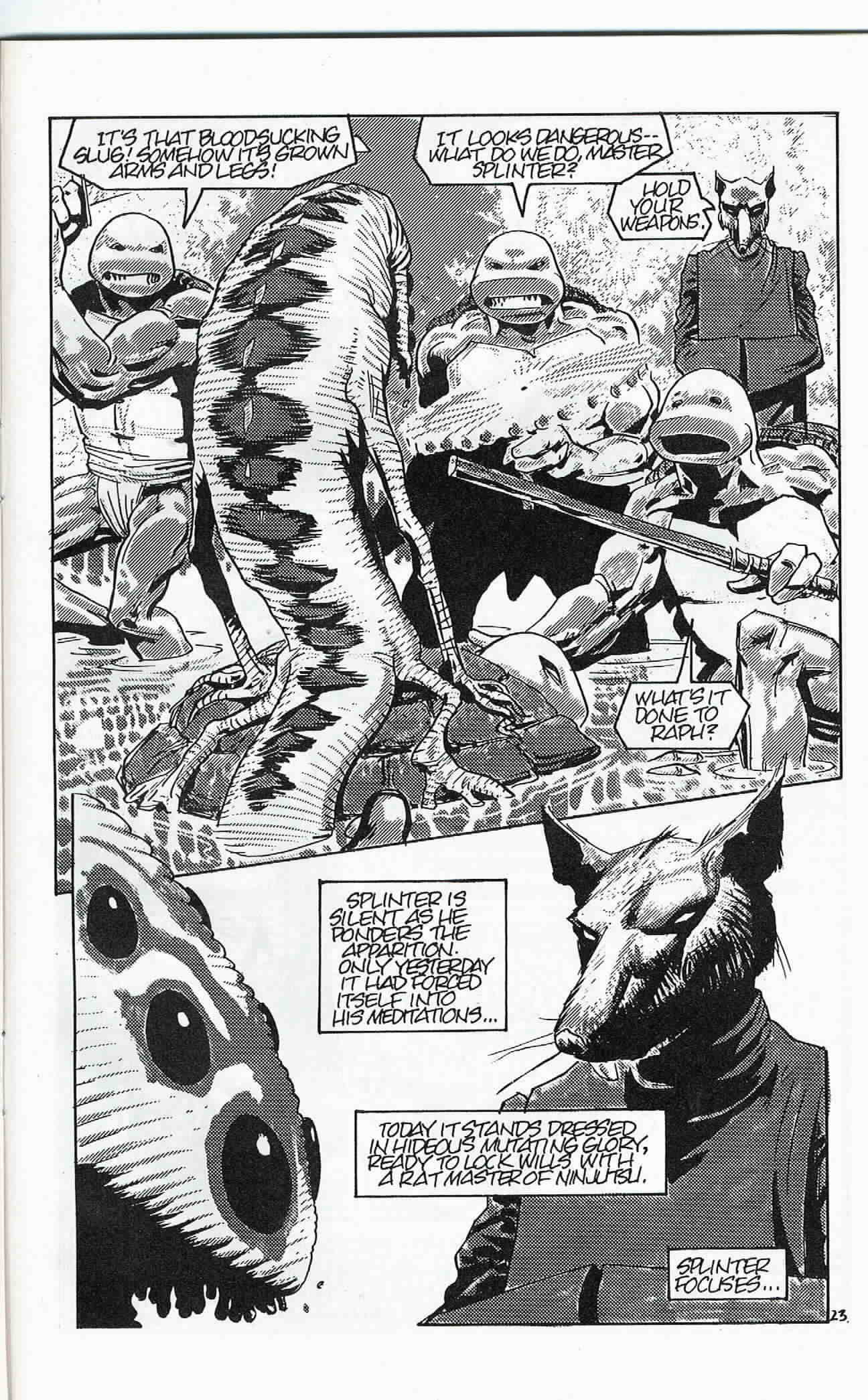 Read online Teenage Mutant Ninja Turtles (1984) comic -  Issue #24 - 24