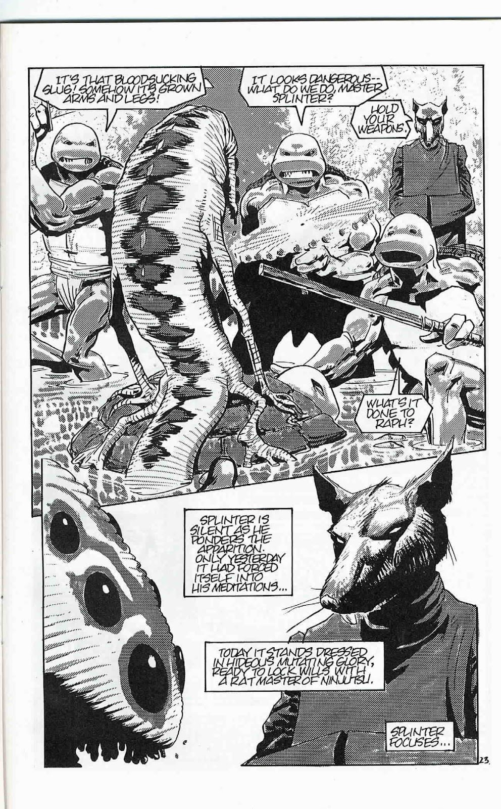 Teenage Mutant Ninja Turtles (1984) Issue #24 #24 - English 24