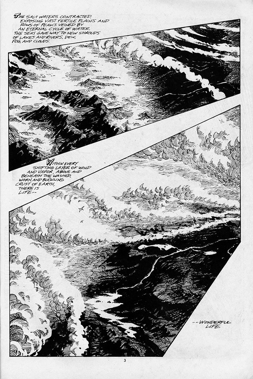 Read online S.R. Bissette's Tyrant comic -  Issue #1 - 5