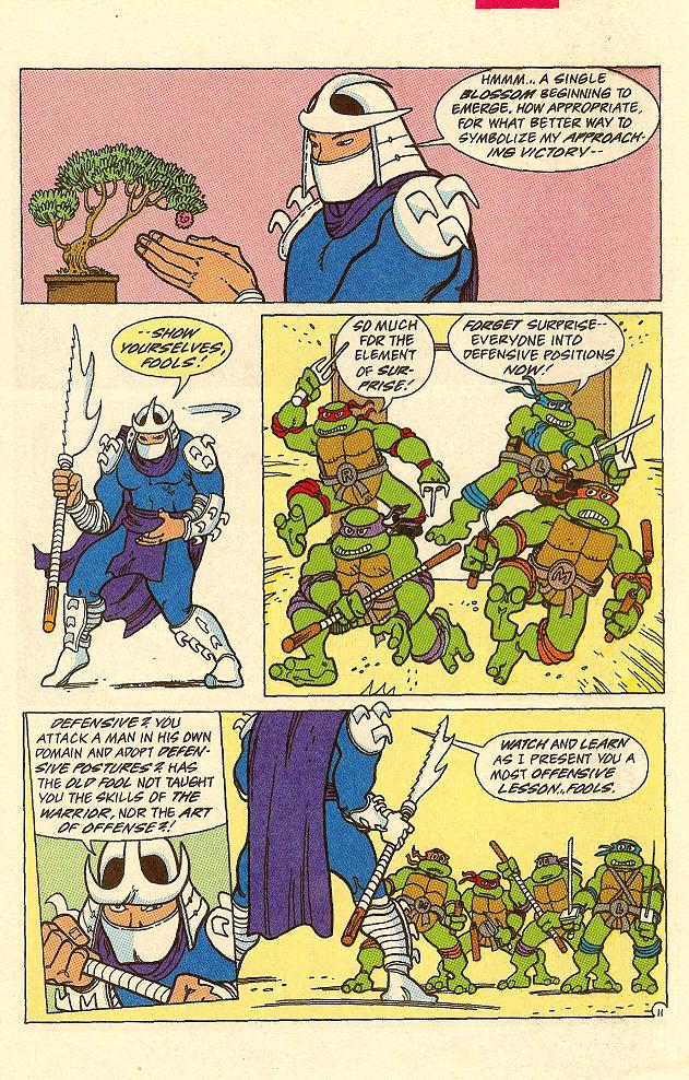Read online Teenage Mutant Ninja Turtles Adventures (1989) comic -  Issue #24 - 12