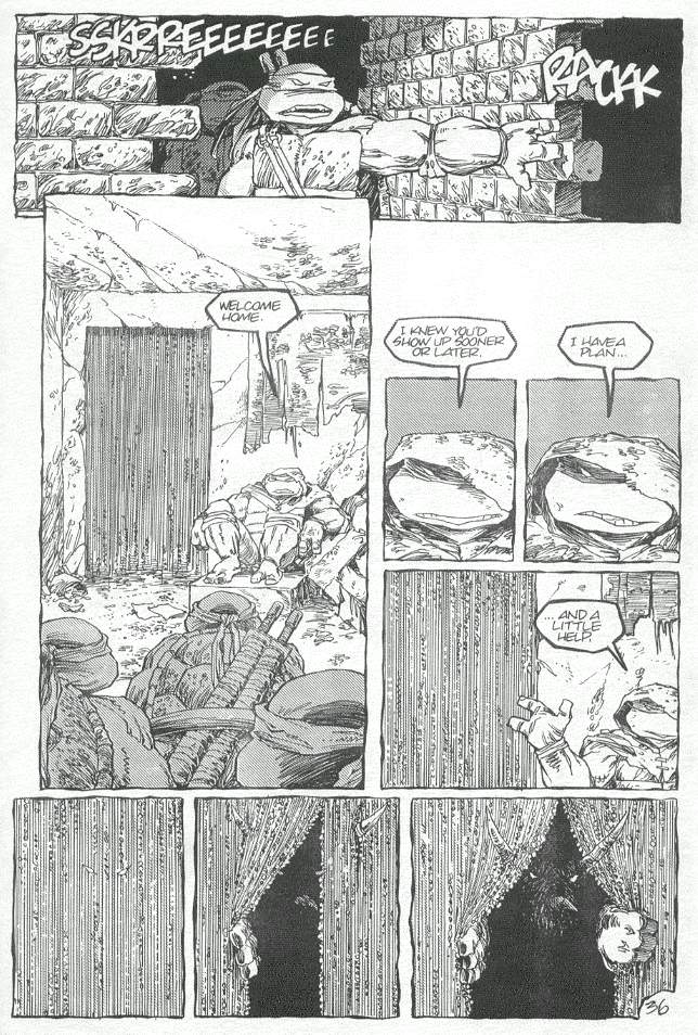 Teenage Mutant Ninja Turtles (1984) Issue #19 #19 - English 37