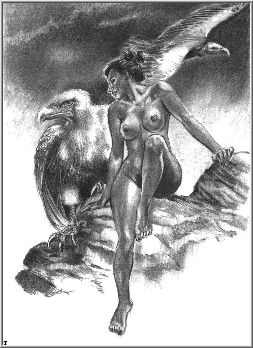 Read online Wolfpack (2001) comic -  Issue # Full - 20