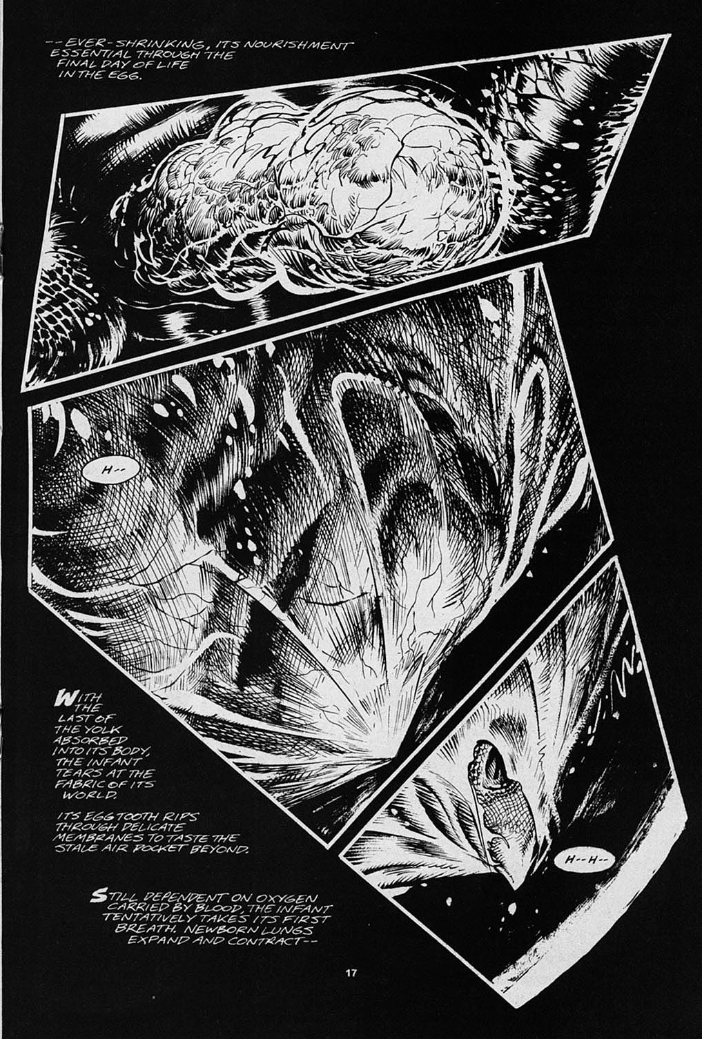 Read online S.R. Bissette's Tyrant comic -  Issue #3 - 19